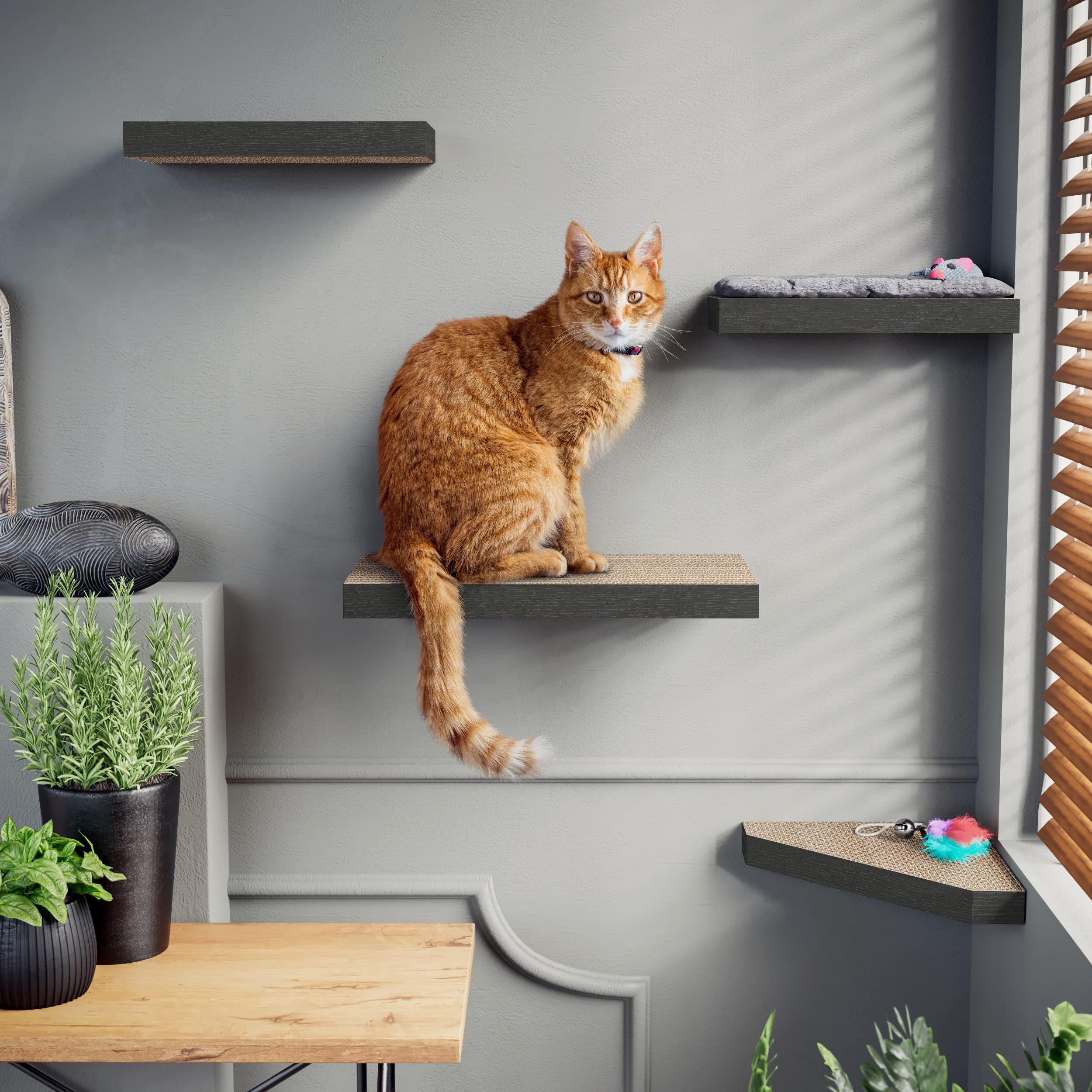 Way Basics Premium Cat Scratcher Floating Wall Shelf (4 Pack) (Charcoal Black)