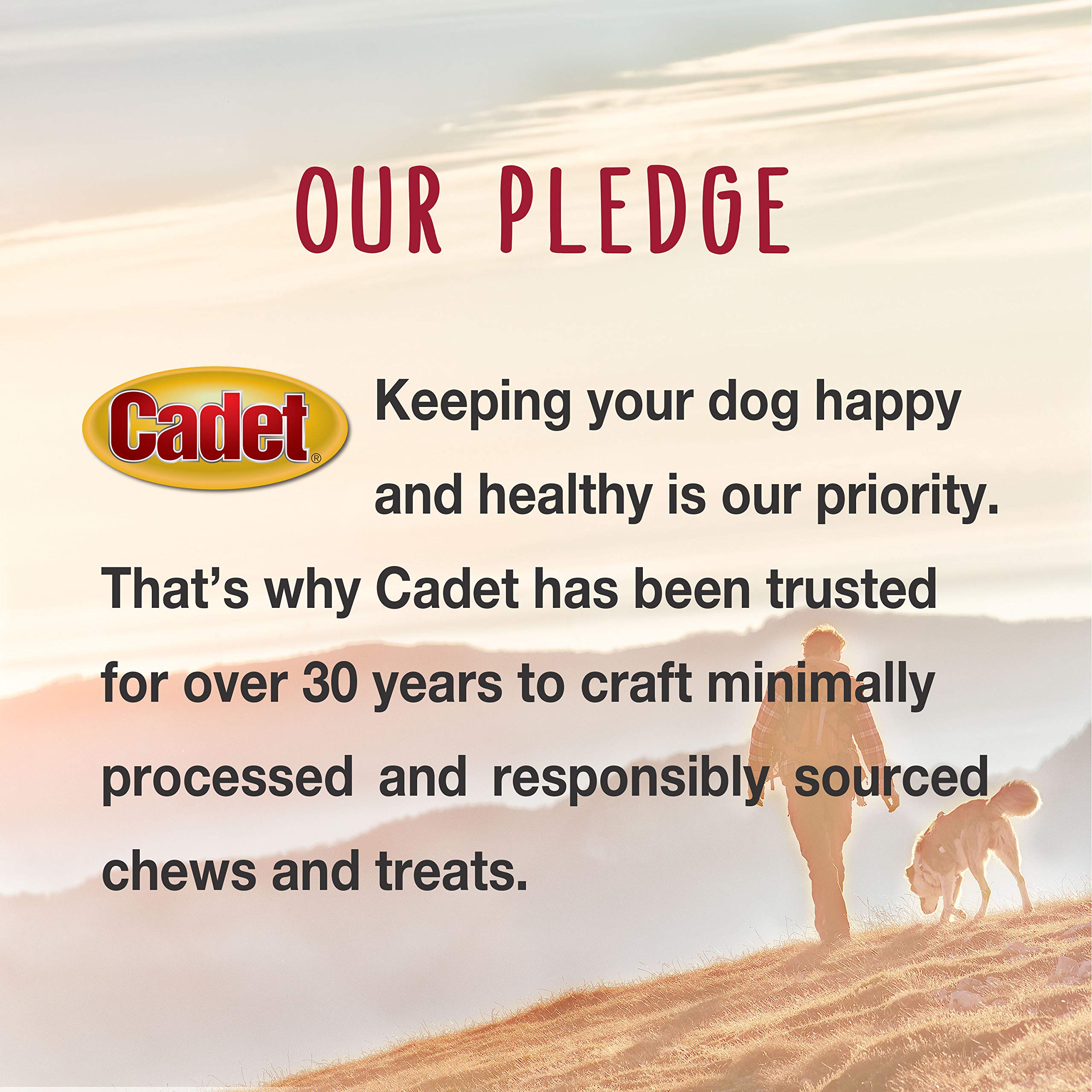 Cadet Gourmet Shish Kabob Dog Treats for Large Dogs, Healthy & Natural Chicken & Sweet Potato Chew Sticks, Beef Hide, Extra Larg