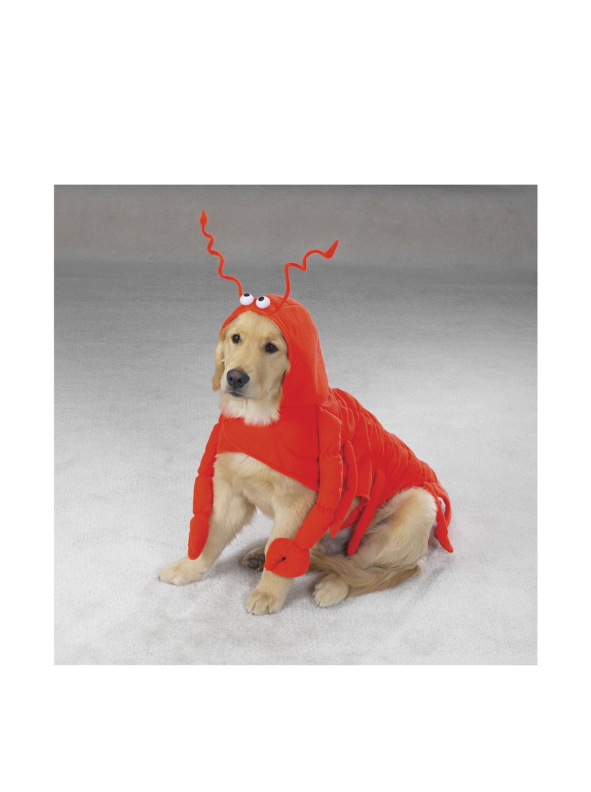 Casual Canine Lobster Paws Dog Costume, Xx-Large (Fits Lengths Up To 30'), Red-Orange