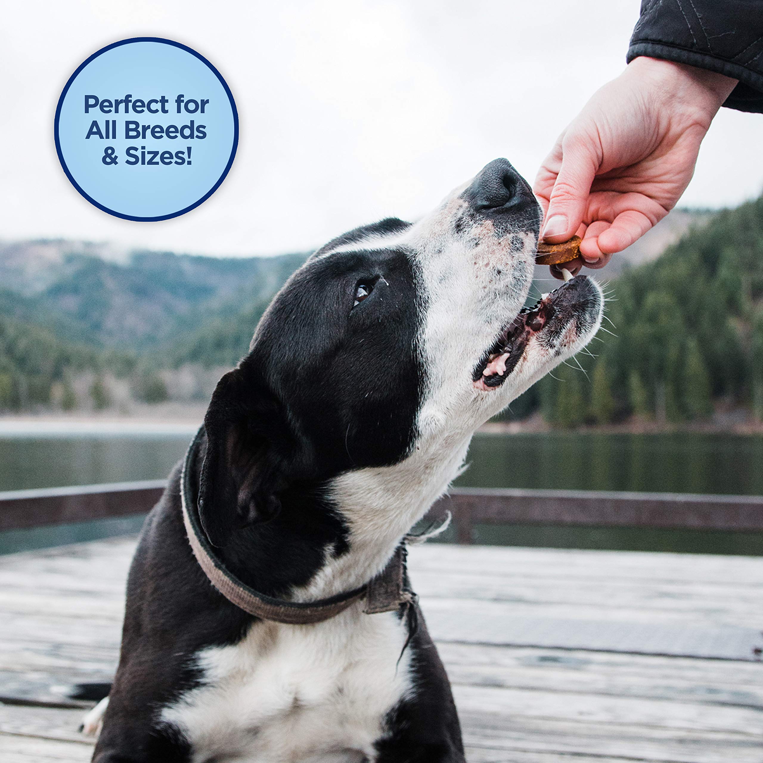 Natural Balance Limited Ingredient Rewards Jumpin Stix, Grain-Free Dog Treats for Adult Dogs of All Breeds, Venison Recipe, 4 O