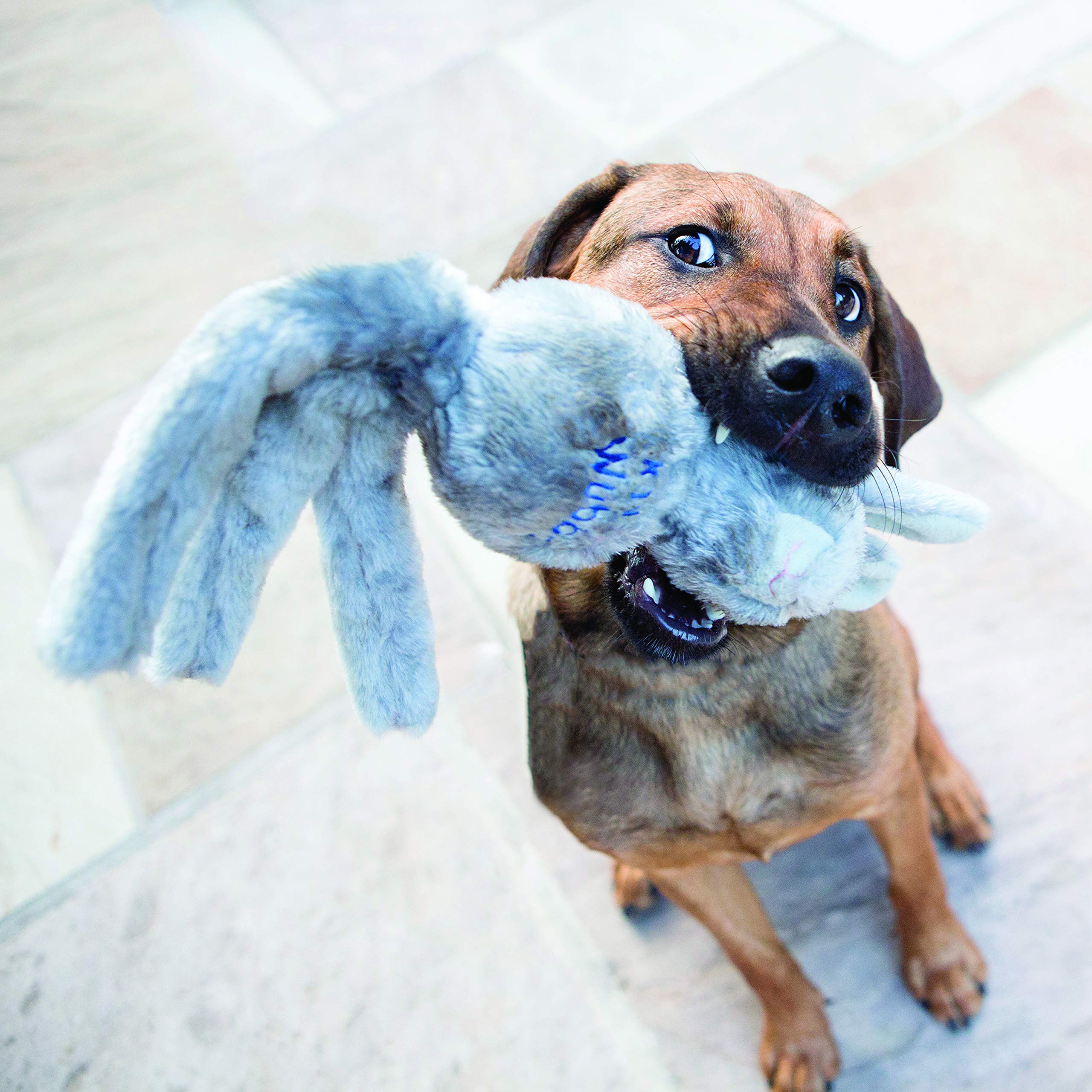 Kong Wubba Friend Dog Toy, Large, Assorted
