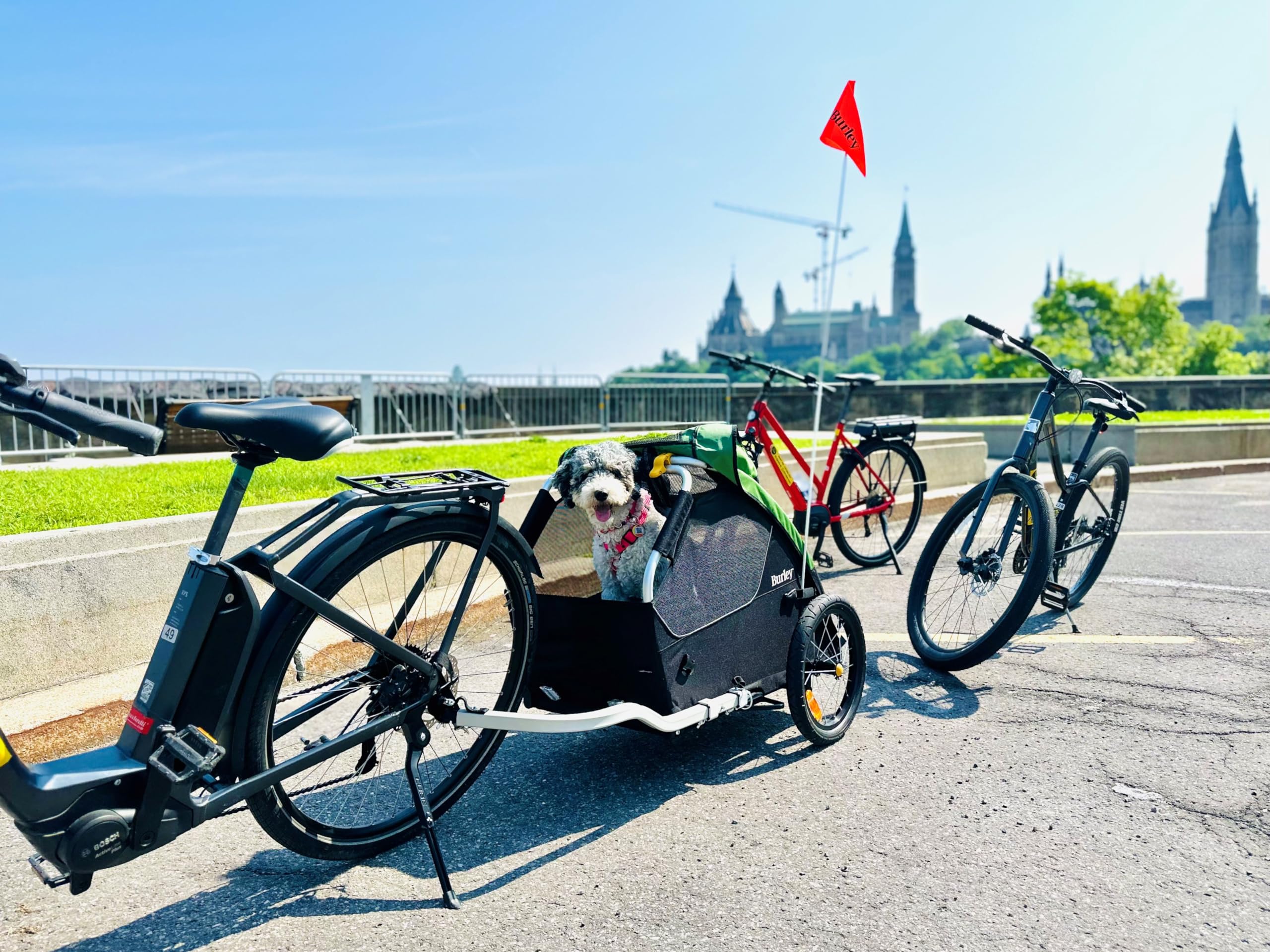 Burley Tail Wagon Pet Bike Trailer
