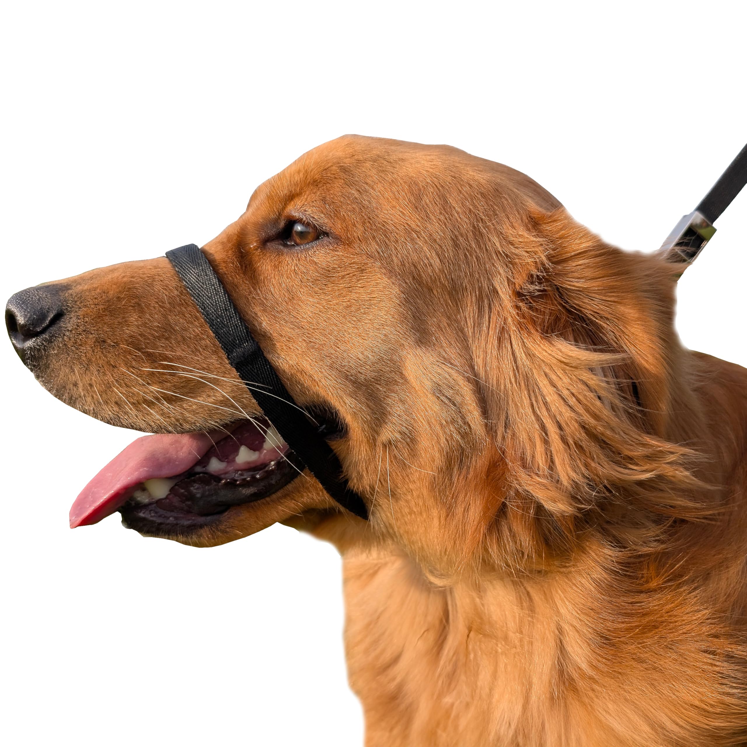 Petspromax No-Pull Dog Headcollar For Large Dogs (Agressive/Reactive Dogs; Instant Stop Pulling; Gentle Training Collar For Dogs