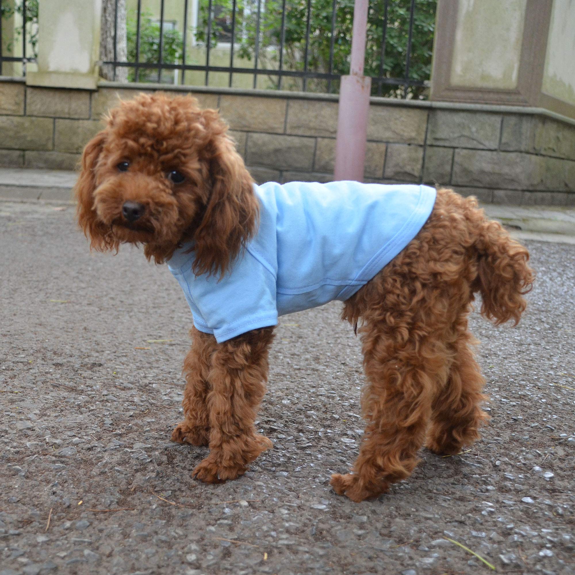 Lovelonglong 2019 Pet Clothing Dog Costumes Basic Blank T-Shirt Tee Shirts For Small Dogs Light-Blue L