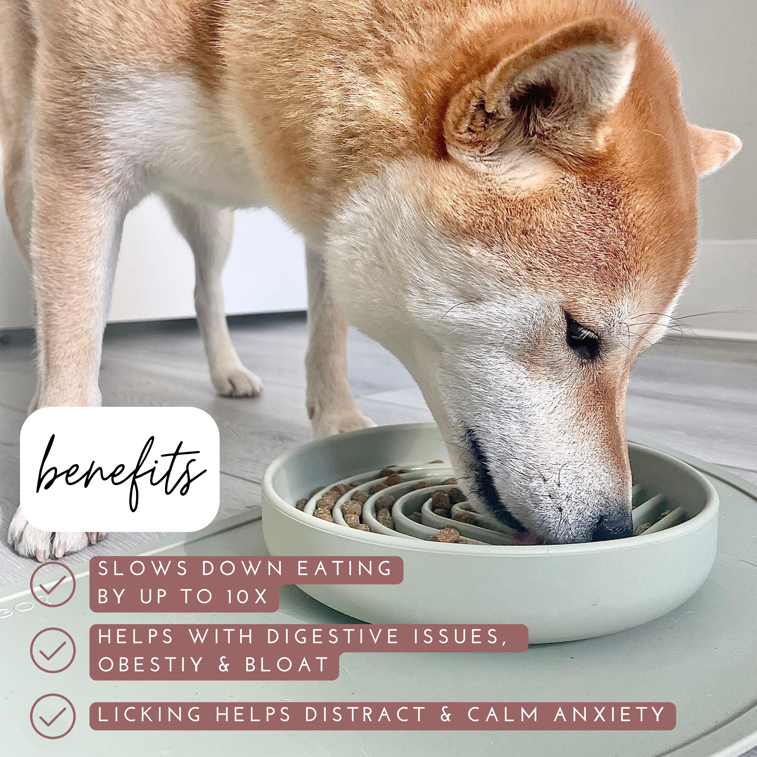 Should We Go? Slow Feeder Dog Bowl, Silicone Puzzle Mat, Medium Size, Honey Color