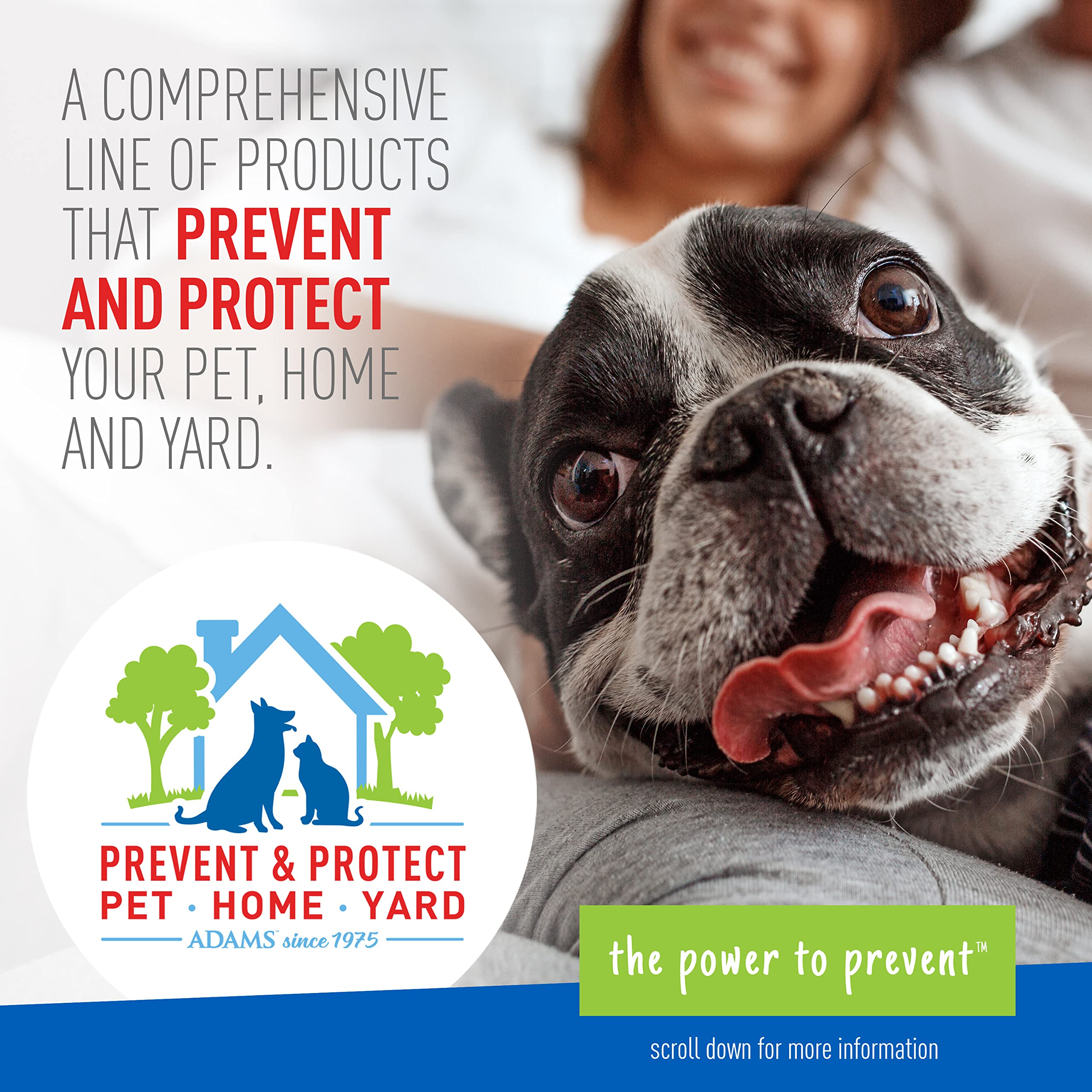 Adams Plus Flea & Tick Collar For Dogs, 7-Month Protection, Adjustable Collar Fits Small Dogs & Puppies, Kills & Repels Fleas, Flea Eggs, Flea Larvae, And Ticks, Kills Tick Larvae And Tick Nymphs