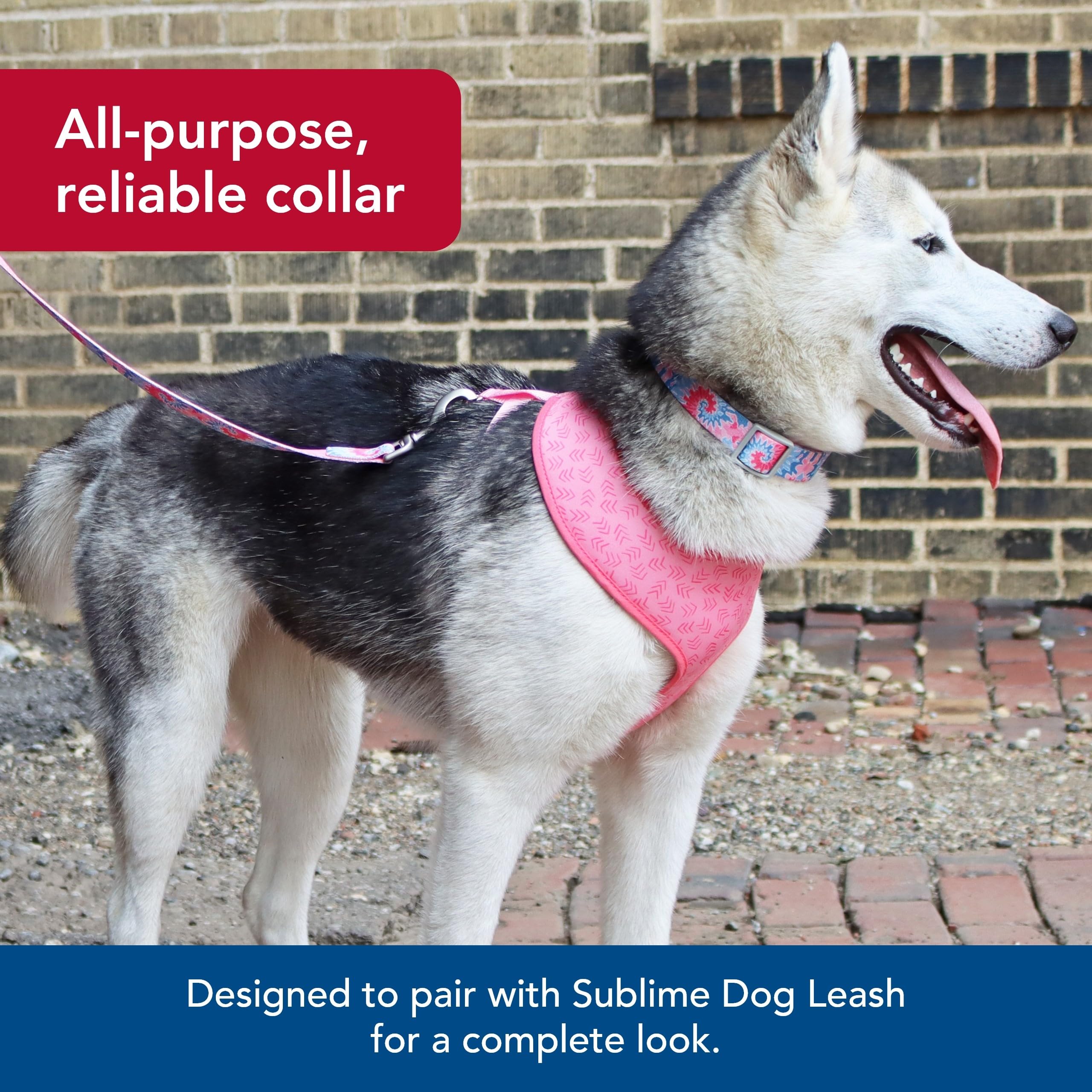 Coastal Pet Sublime Adjustable Dog Collar - Adjustable Plastic Buckle - Vibrant & Colorful Dog Collar With Fade-Resistant Patterns - Pink Tie Dye With Pink Arrows, Medium - 1' X 12'-18'