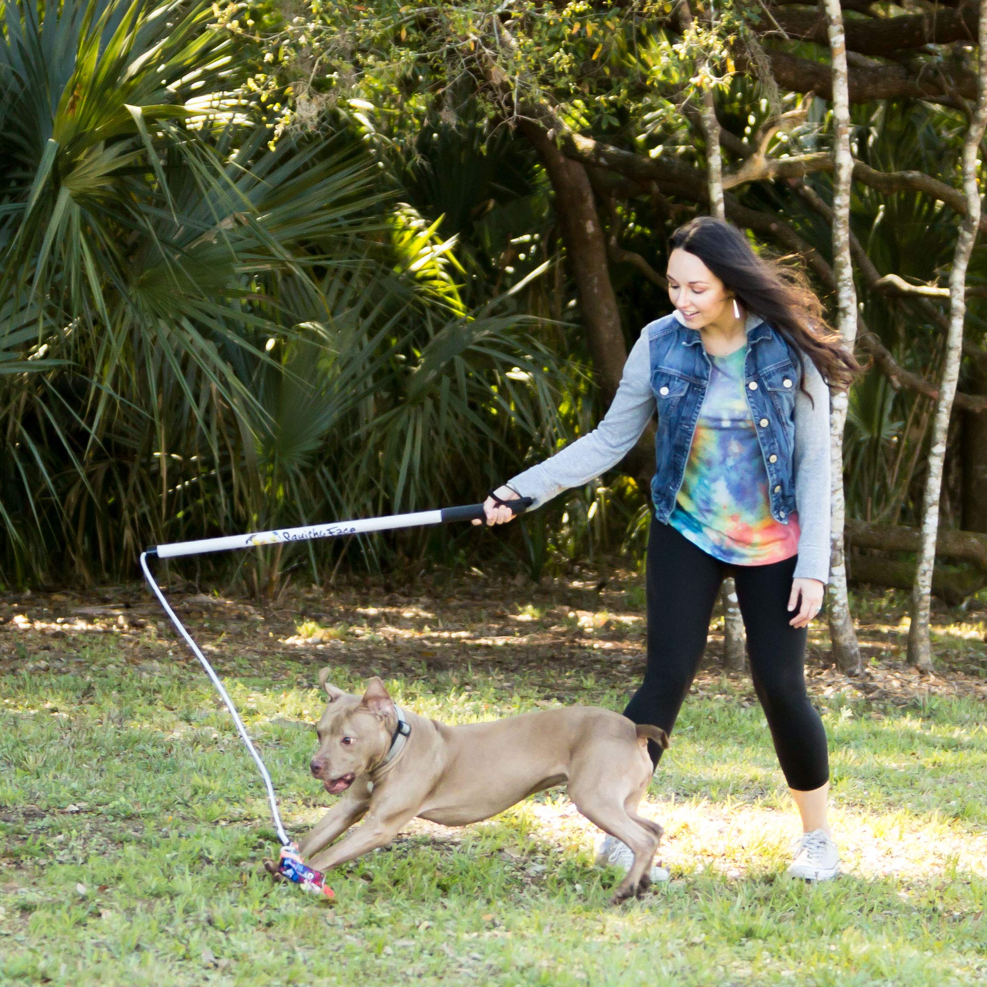Squishy Face Studio Flirt Pole V2 with Lure - Durable Dog Toy for Fun Obedience Training & Exercise, Rainbow Tie Dye, Regular -