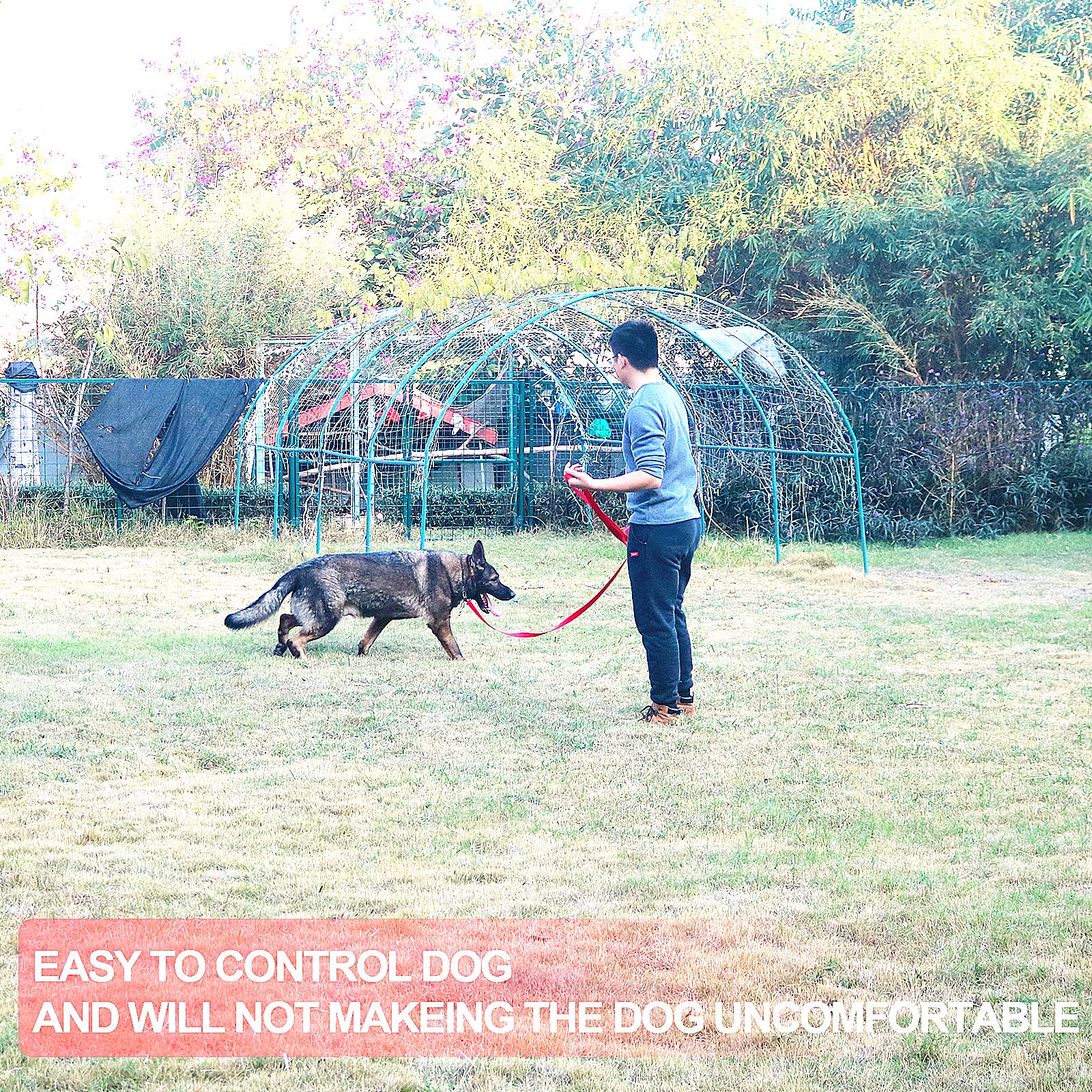Siumouhoi Dog/Puppy Obedience Recall Training Agility Lead - 15Ft 20Ft 30Ft 40Ft 50Ft Training Leash - Great For Play, Camping, Or Backyard - Black 15Ft (15Feet, Black)