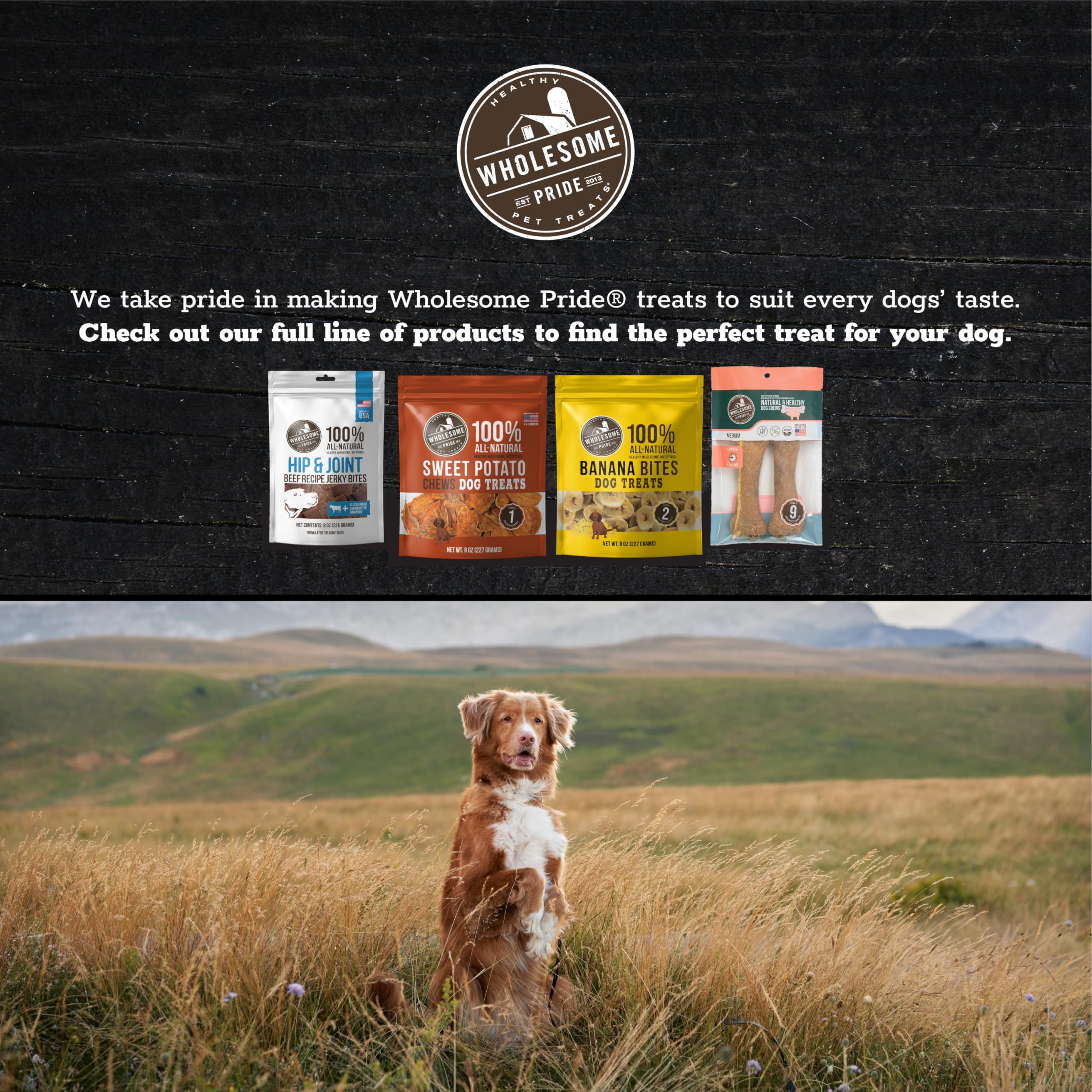 Wholesome Pride Pumpkin Slices 100% All-Natural Limited Ingredient Dehydrated Dog Treats, 5 oz