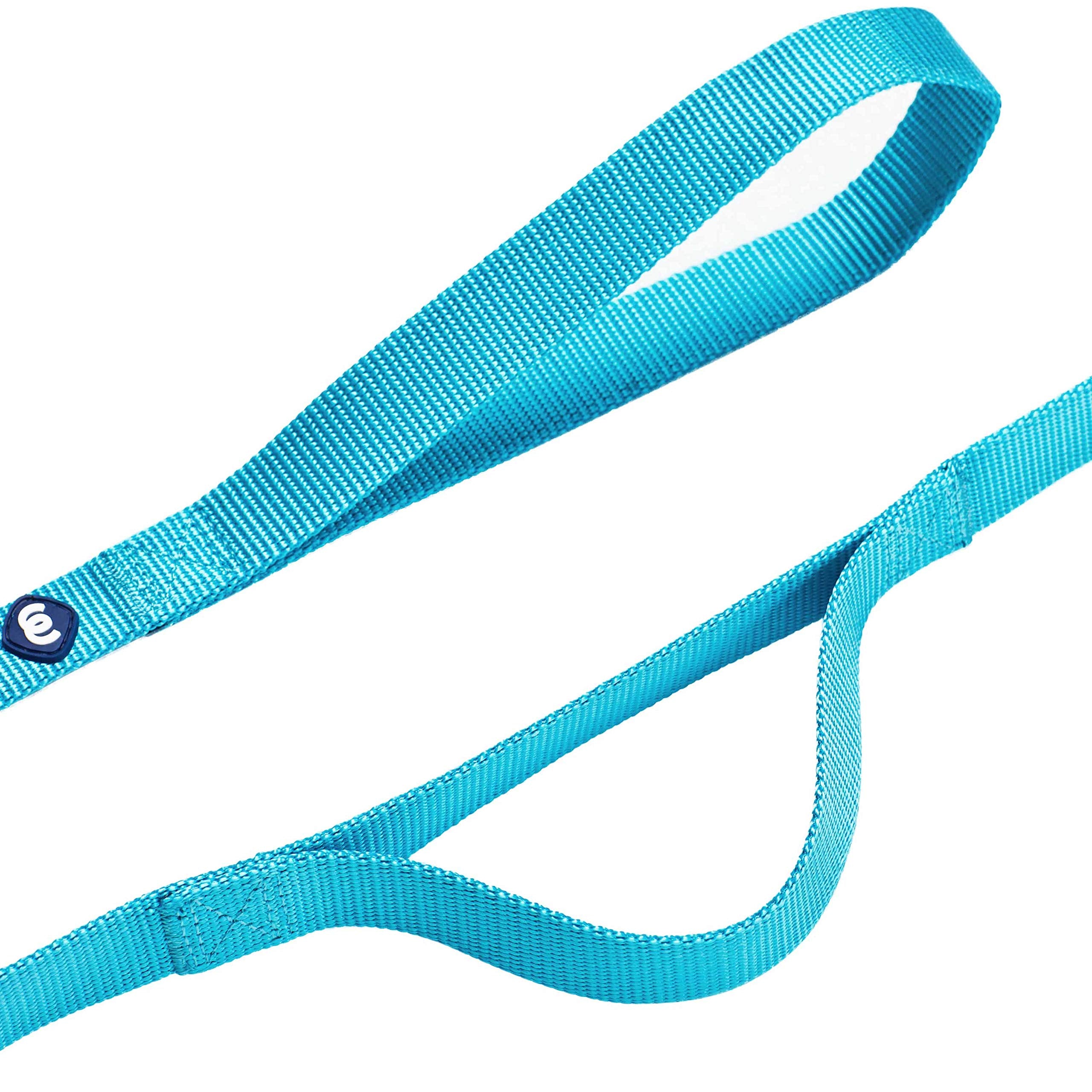 Blueberry Pet Essentials Durable Classic Dog Leash 5 Ft X 3/4', Turquoise, Medium, Double Handle Leashes For Dogs