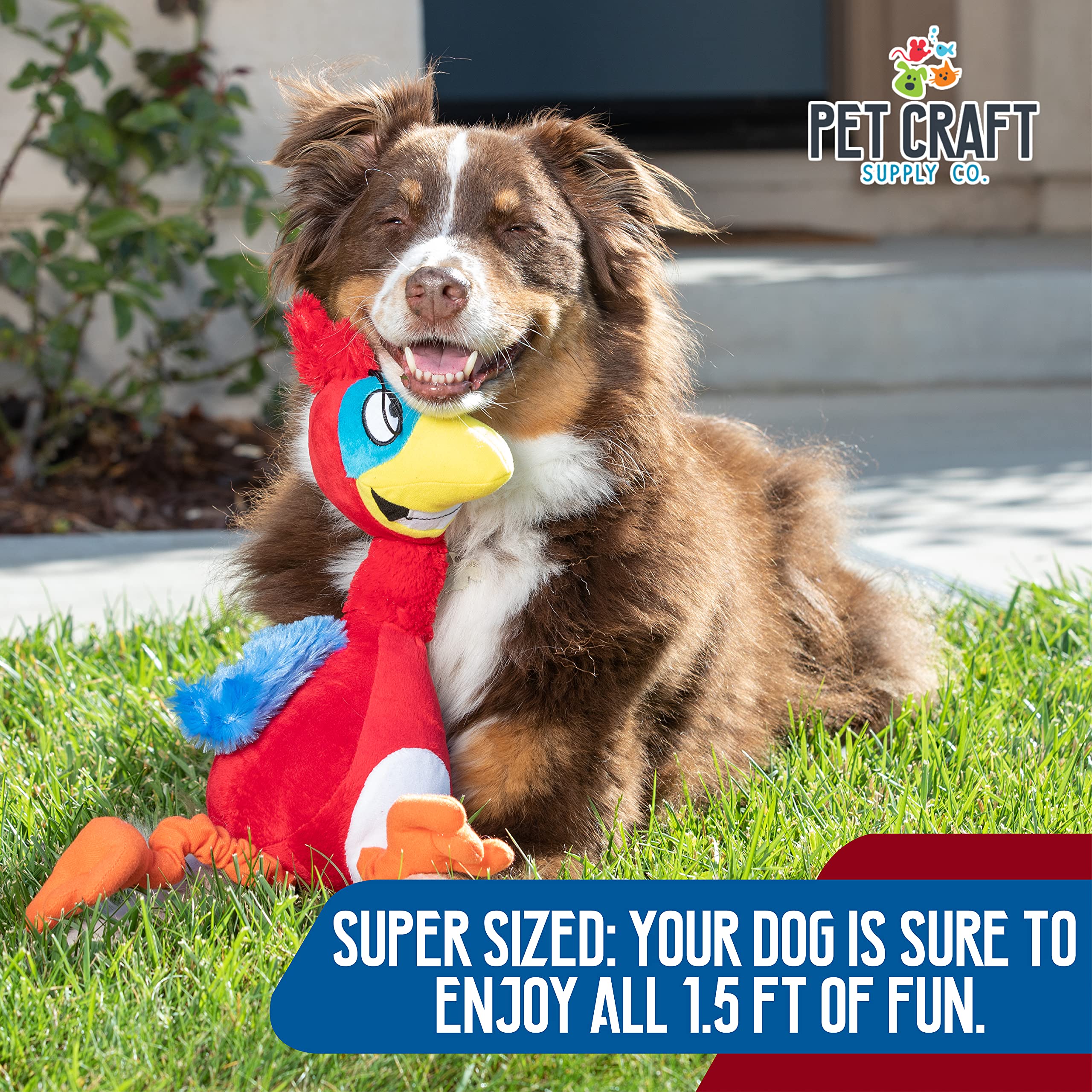 Pet Craft Supply Giggling Puffin & Parrot Multi Pack Interactive Dog Toys With Sound For Large Breed And Small Dogs Soft Chew Pl