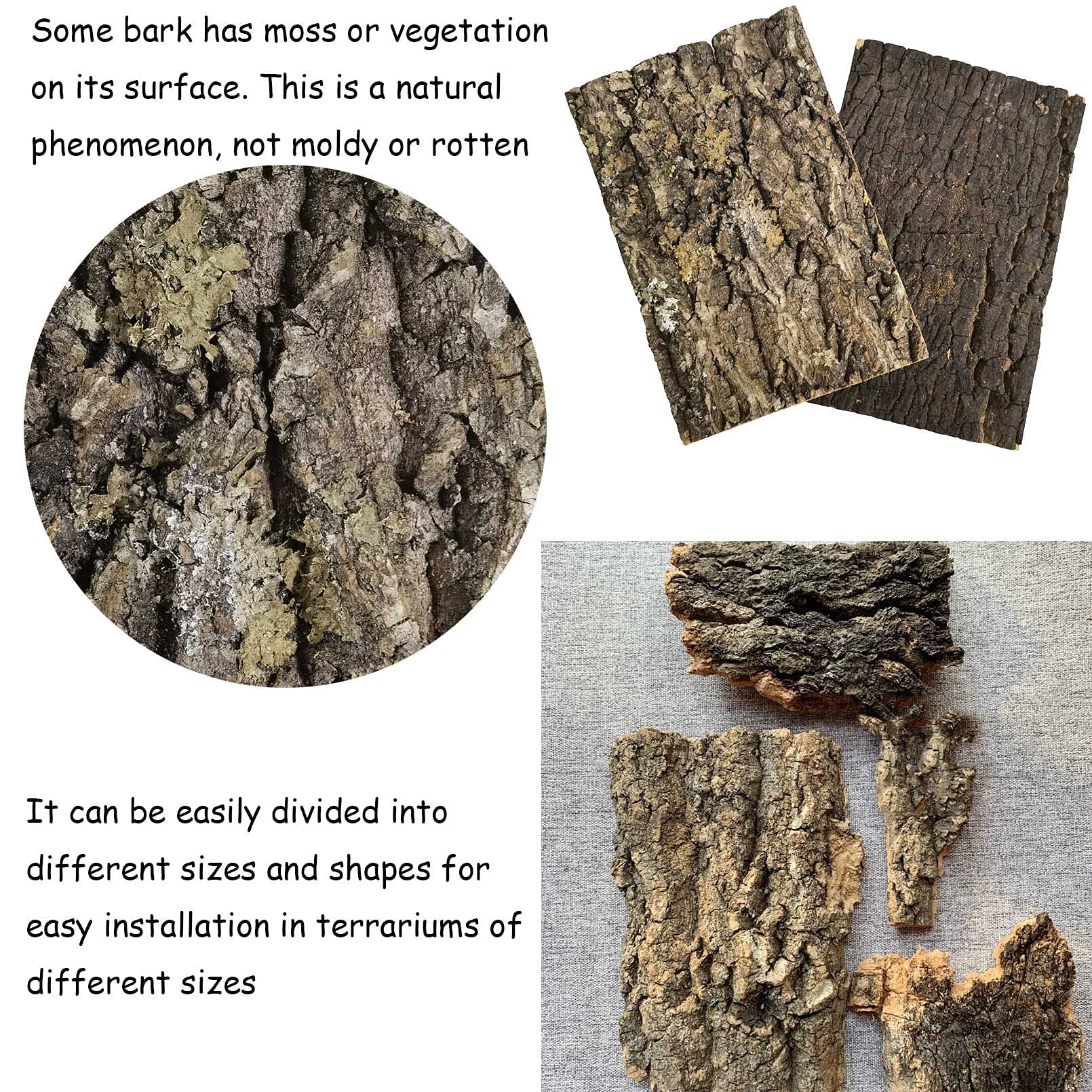Kathson 4Pcs Cork Tile Background Bark 11.6   Lx7.7   W Reptile Tank Background Terrarium Backdrop Wall Decor Natural Reptile Cl