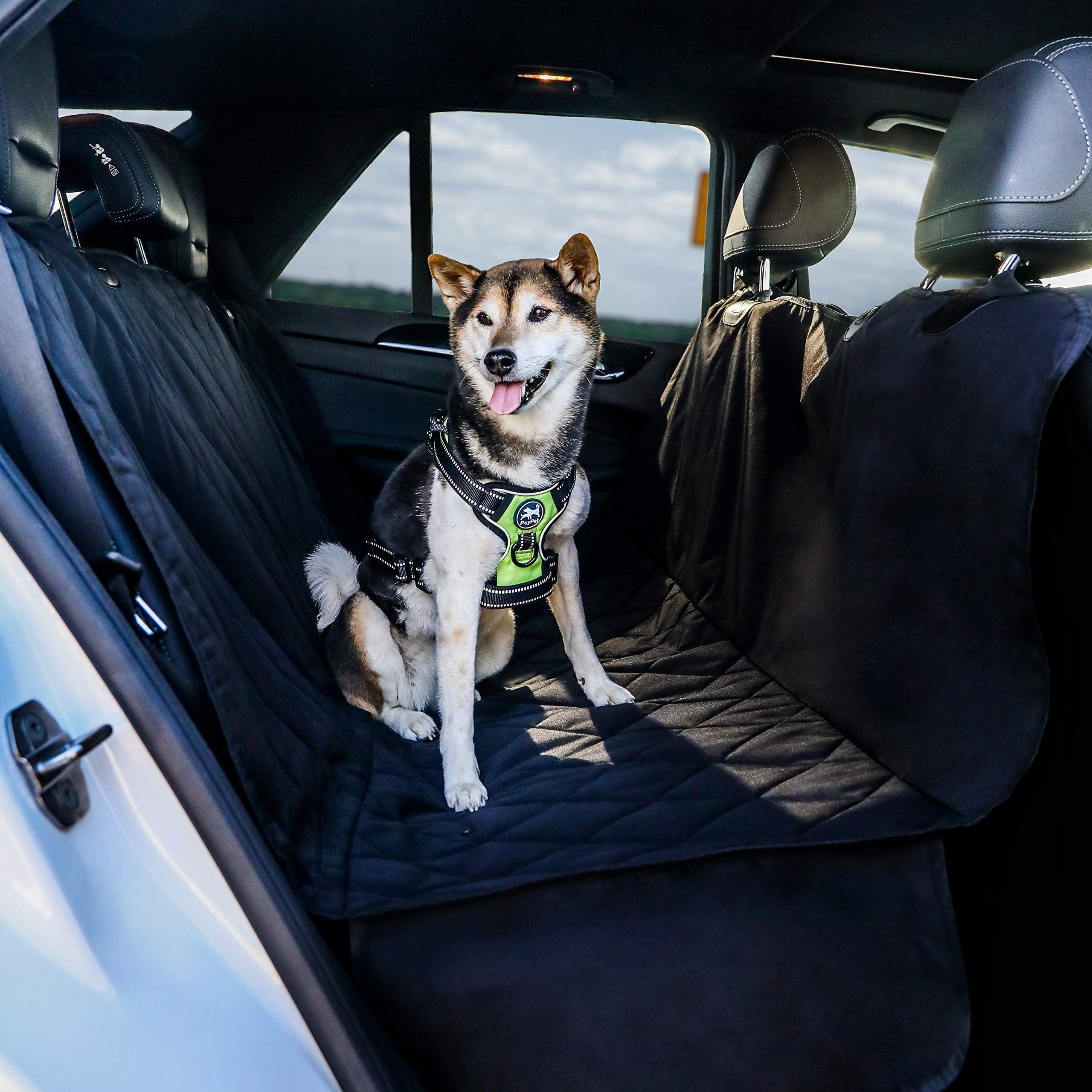 BarksBar Pet Car Seat Cover with Seat Anchors for Cars, Trucks and SUVs, Water Proof and Non-Slip Backing Regular, Black