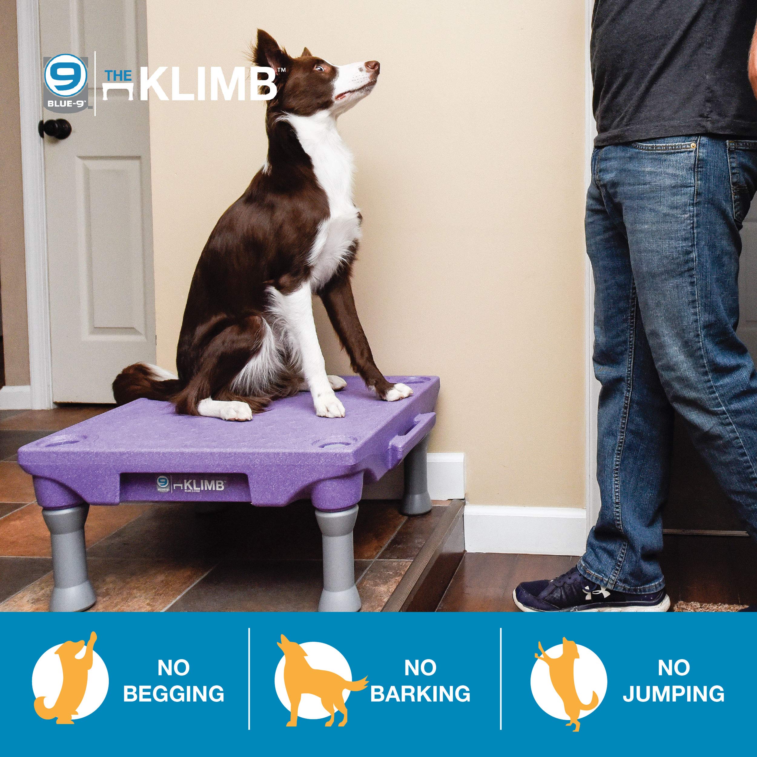 Blue-9 Pet Products Klimb Dog Training Platform And Agility System, Durable And Portable For Indoor Or Outdoor Use, Blue