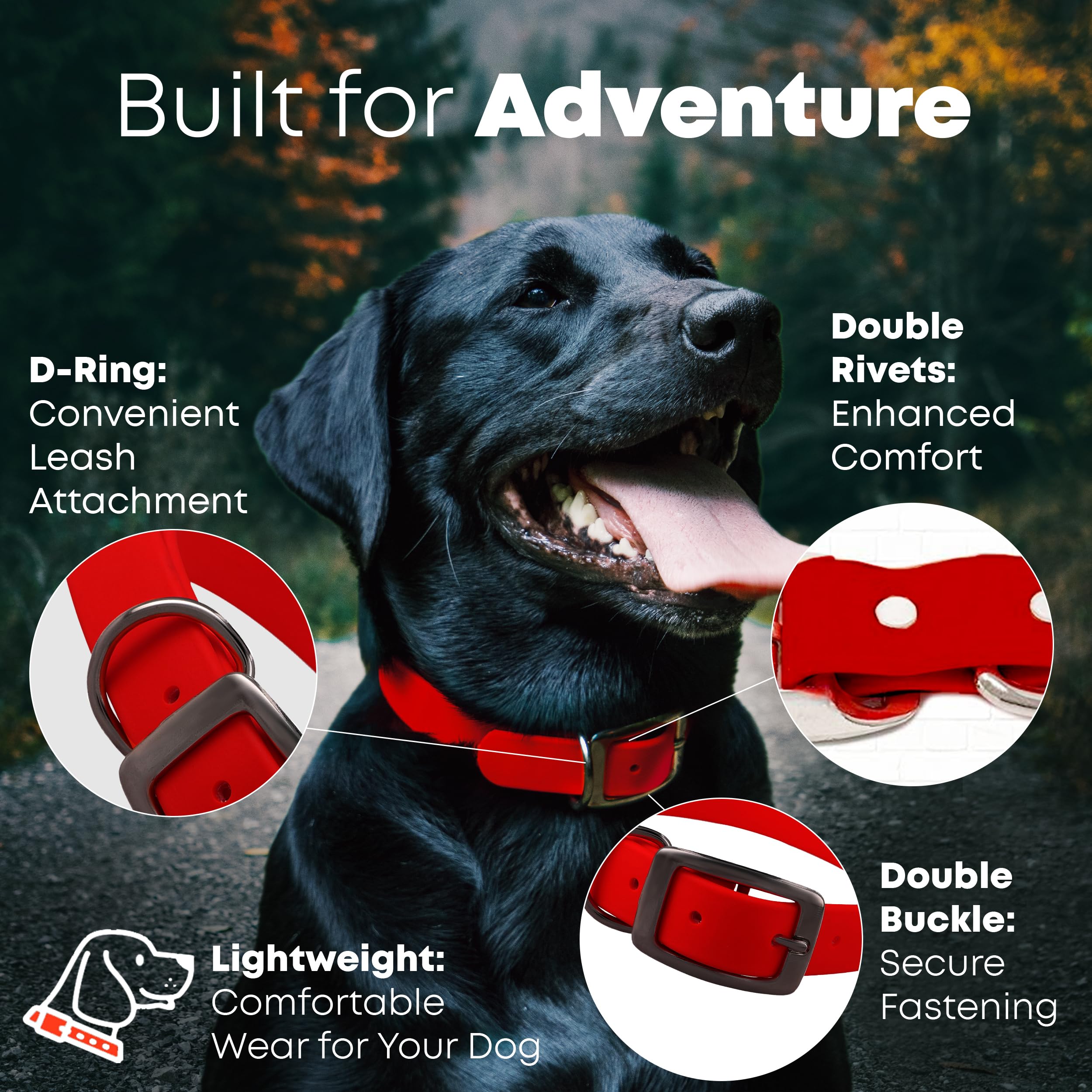 Regal Dog Products Medium Red Waterproof Dog Collar and Leash Set | Heavy Duty Double Buckle & D Ring - 5'ft Leash | Adjustable
