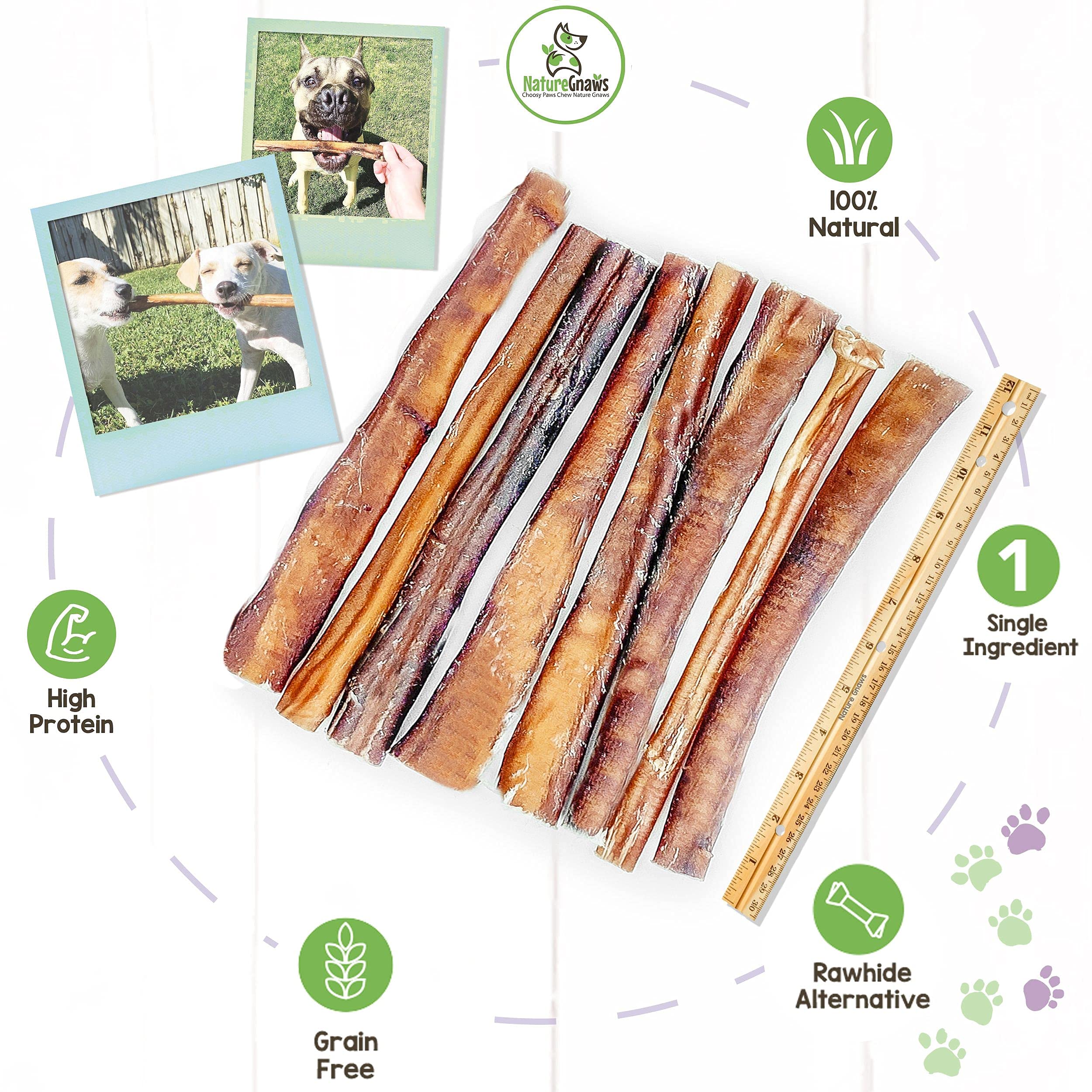 Nature Gnaws Extra Large Bully Sticks for Dogs - Premium Natural Beef Dental Bones - Thick Long Lasting Dog Chew Treats for Aggr