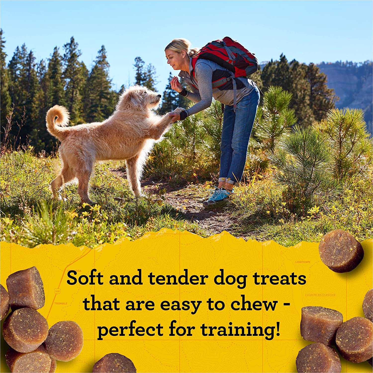 Zukes Mini Naturals Dog Training Treats, Soft Mini Dog Treats with Vitamins & Minerals, Made for All Breed Peanut Butter, 16 Ou