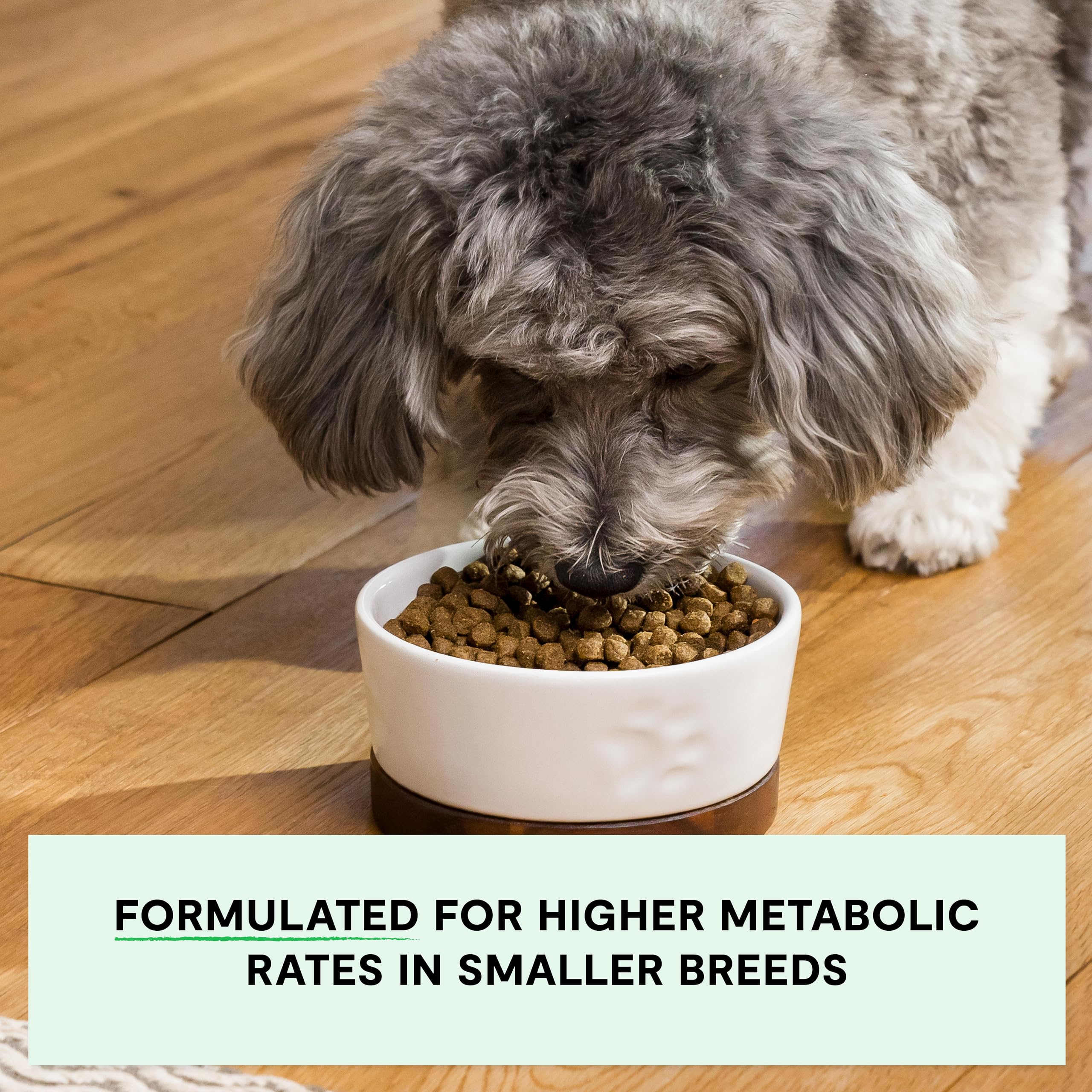Open Farm Grain-Free Dry Dog Food for Small Breeds, High Protein with Ethically Sourced Ingredients, No Artificial Flavors or Pr