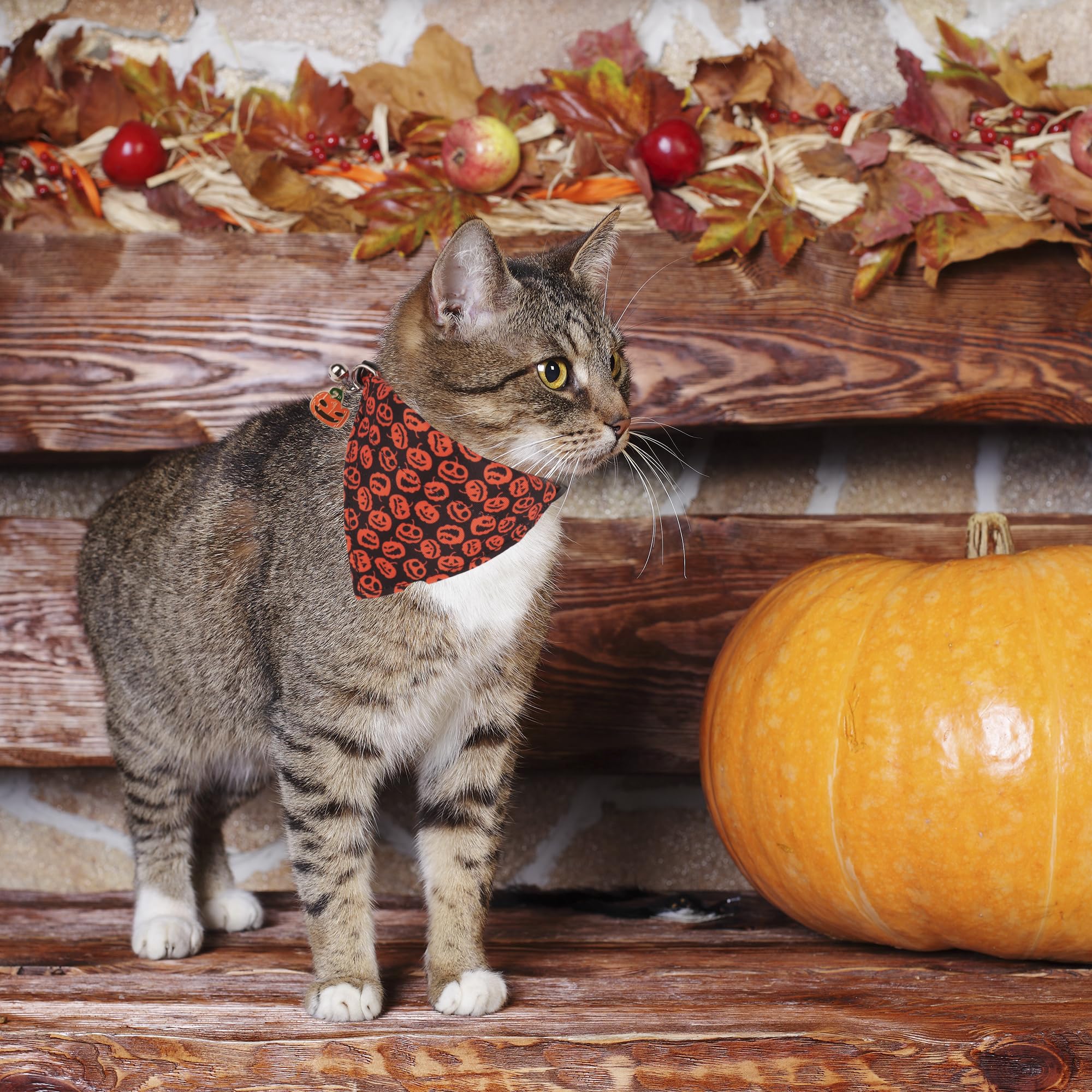 Adoggygo Halloween Cat Collar With Bandana, 2 Pack Halloween Kitten Bandana Collar, Pumpkin Pattern Holiday Collars For Cat Kitt