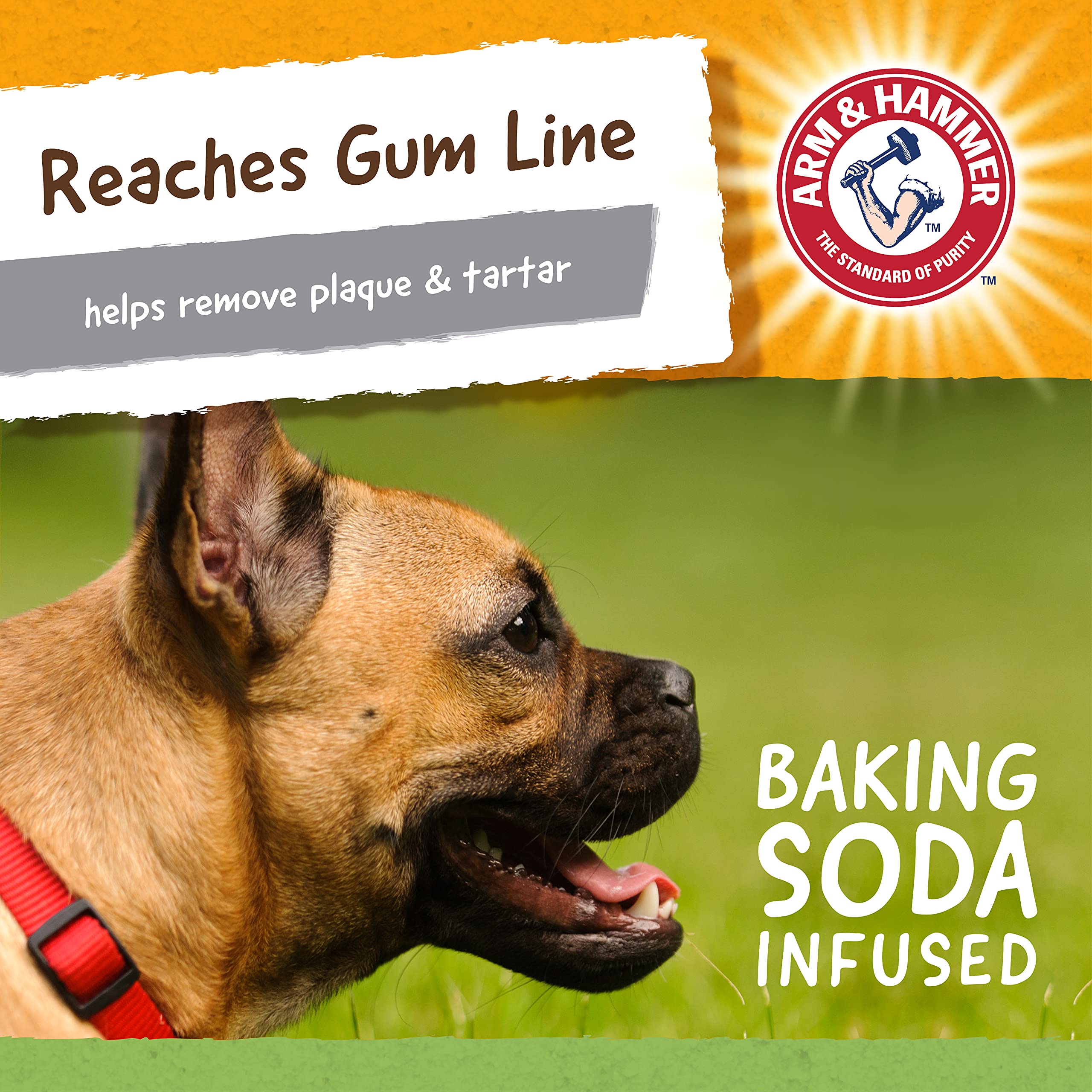 Arm & Hammer For Pets Super Treadz Gator Chew Toy - Best Chew Toys Reduce Plaque & Tartar Buildup Without Brushing - For Dogs Up To 35 Lbs