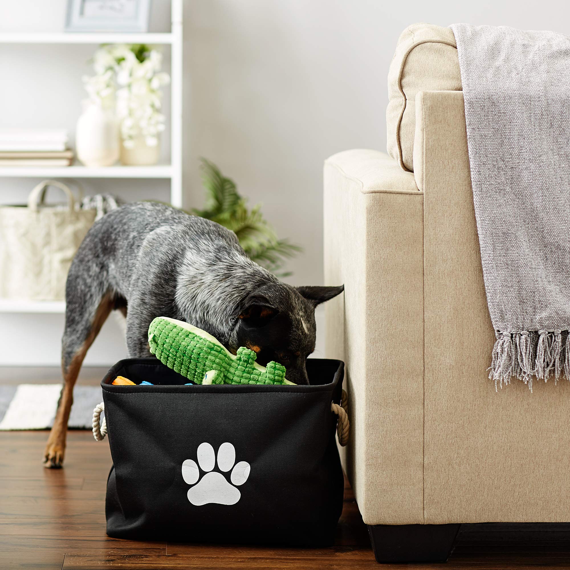 Bone Dry Pet Storage Collection Collapsible Bin, Black, Medium Rectangle