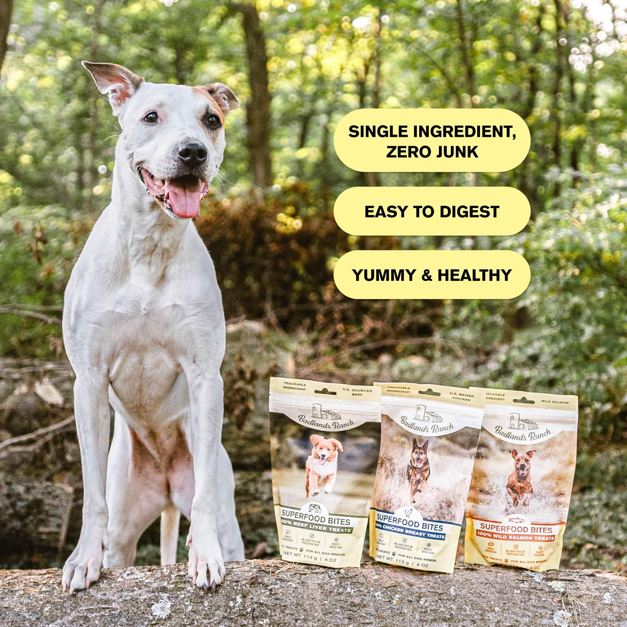 BADLANDS RANCH - Superfood Bite, Freeze-Dried Raw Dog Treats - Protein Rich, Train & Reward, Traceable Single Ingredient by Kath