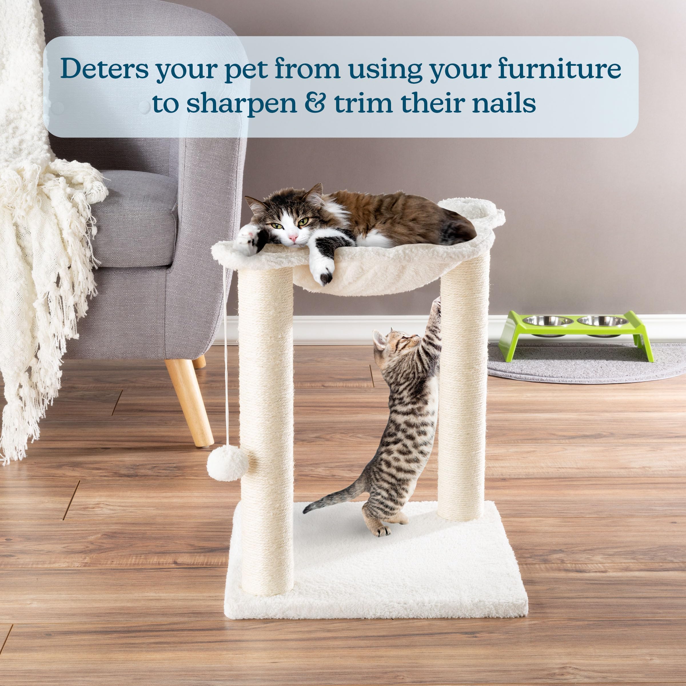 19-Inch Cat Scratching Post With Hammock ? Sisal Fabric And Carpet Small Cat Tree, Hanging Ball Toy For Adult Cats And Kittens B
