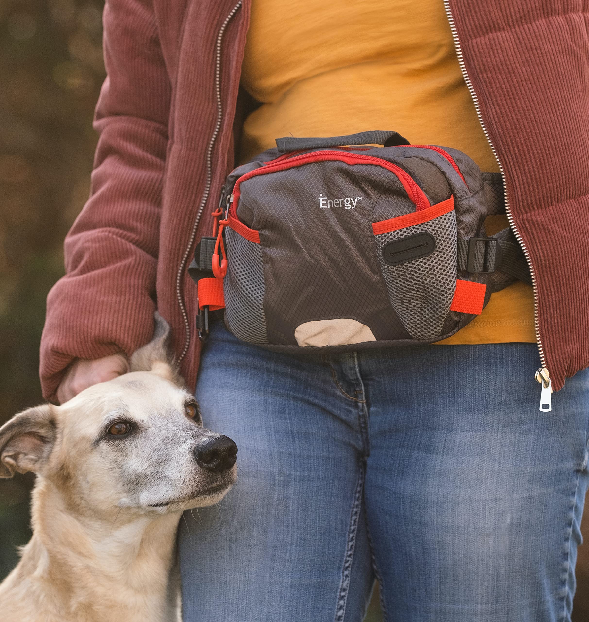 iEnergy?PAT Waist Belt for Dog Owners - Durable bumbag for Dog Walking (Green)