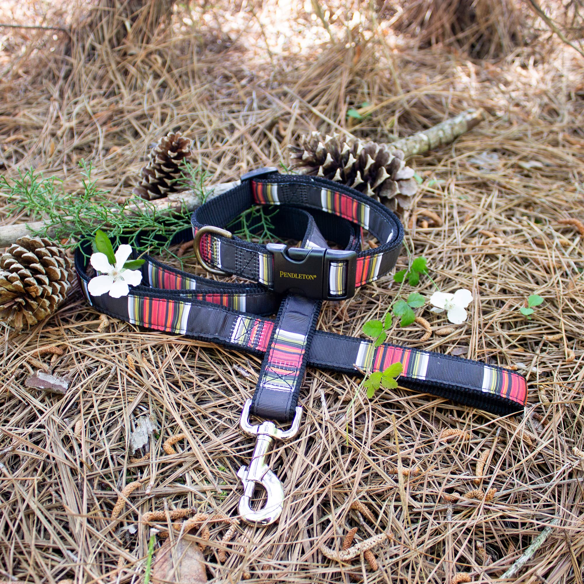Pendleton Pet National Park Hiker Collar (Xl, Acadia)