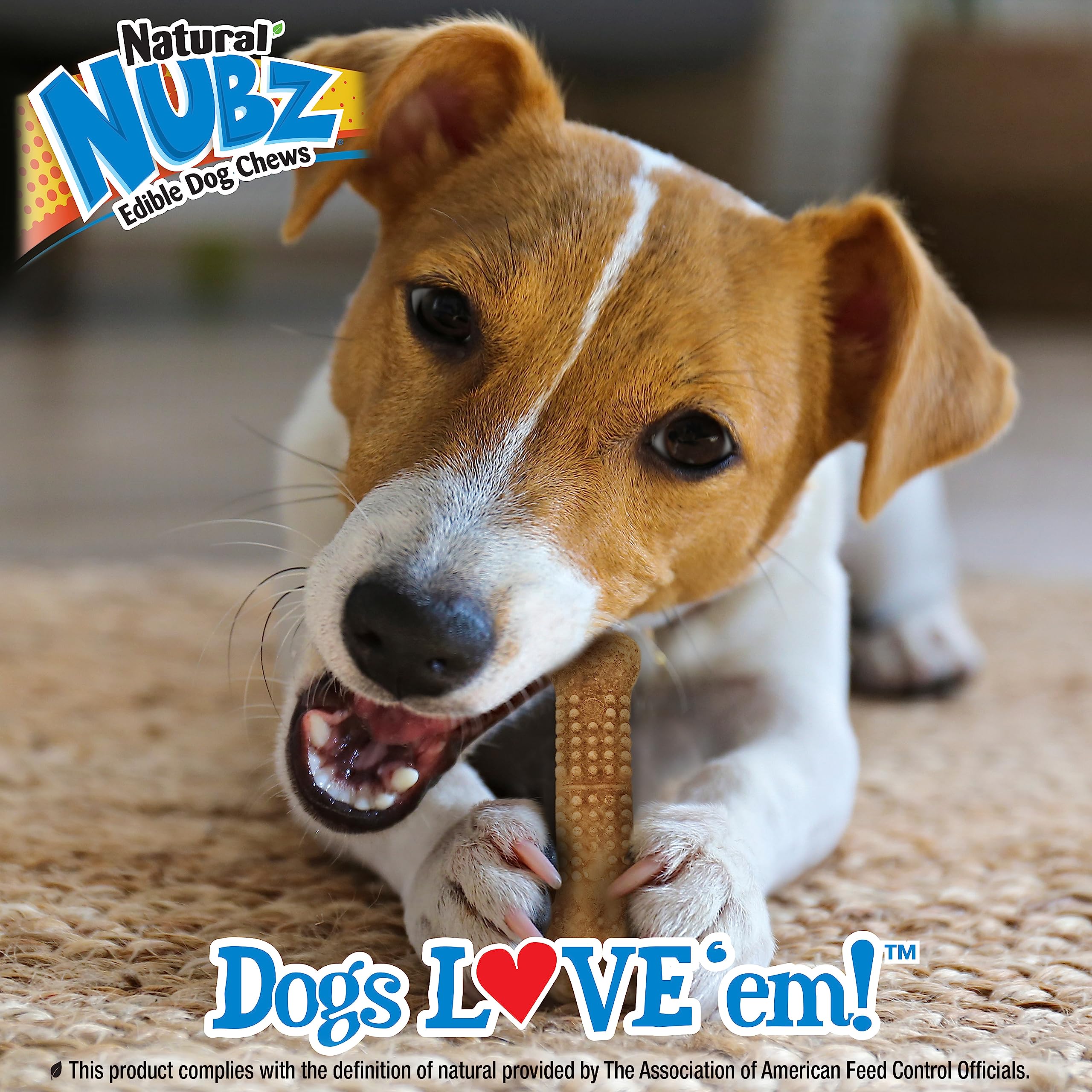 Nylabone Nubz Wild Natural Edible Chew Treats for Dogs, Made in USA, Bison Flavor, Small - Up to 25 lbs. (12 Count)