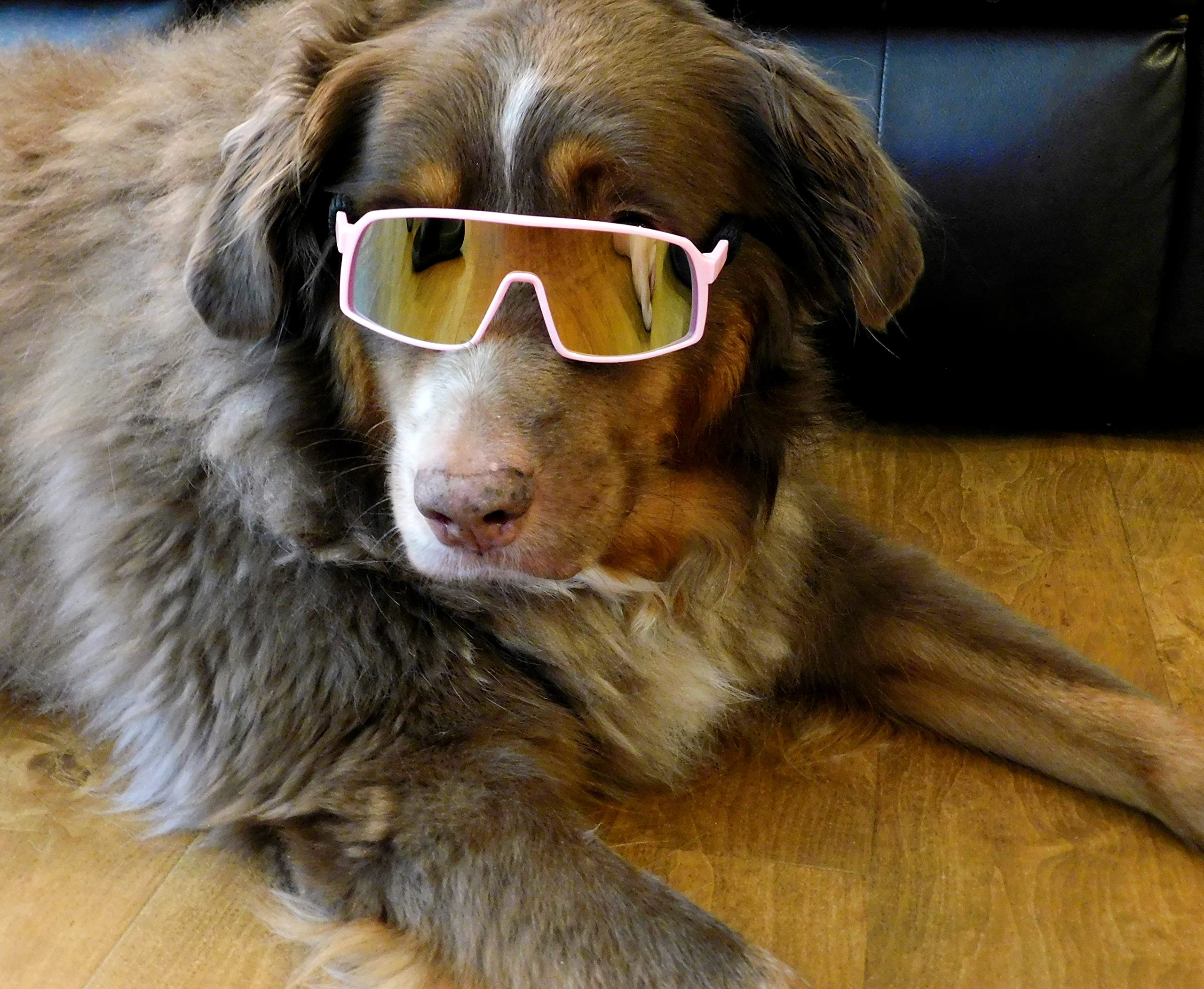 G010 Dog Pet Turbo Sports Sunglasses Medium Breeds 20-40 Lbs (Turbo Pink-Pink Mr)