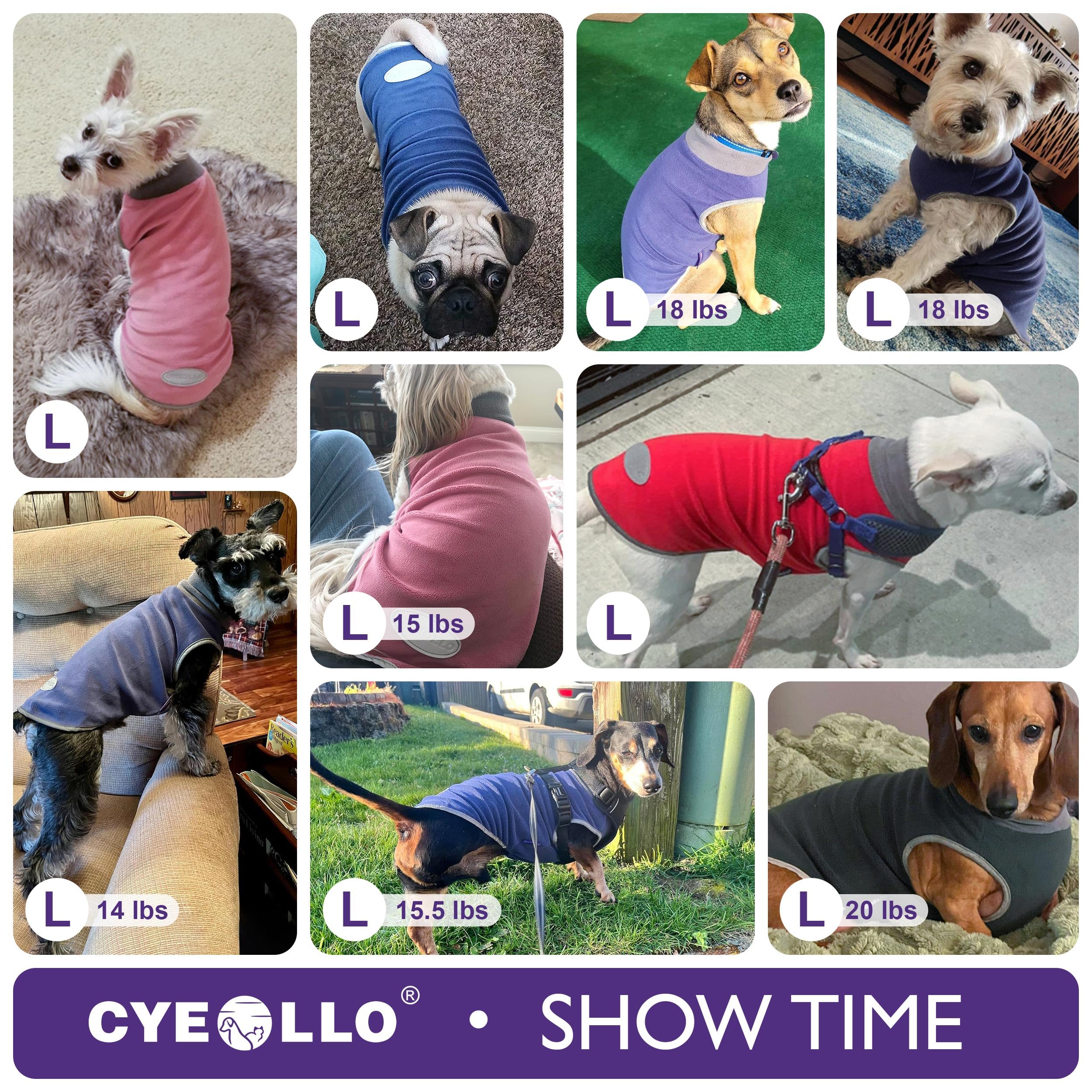 Cyeollo 2 Pack Dog Sweaters For Small Dogs Lightweight Stretchy Fleece Vest Pullover Dog Sweatshirt With Reflective Stripe Pet Dog Clothes Coats Size L Pink & Grey