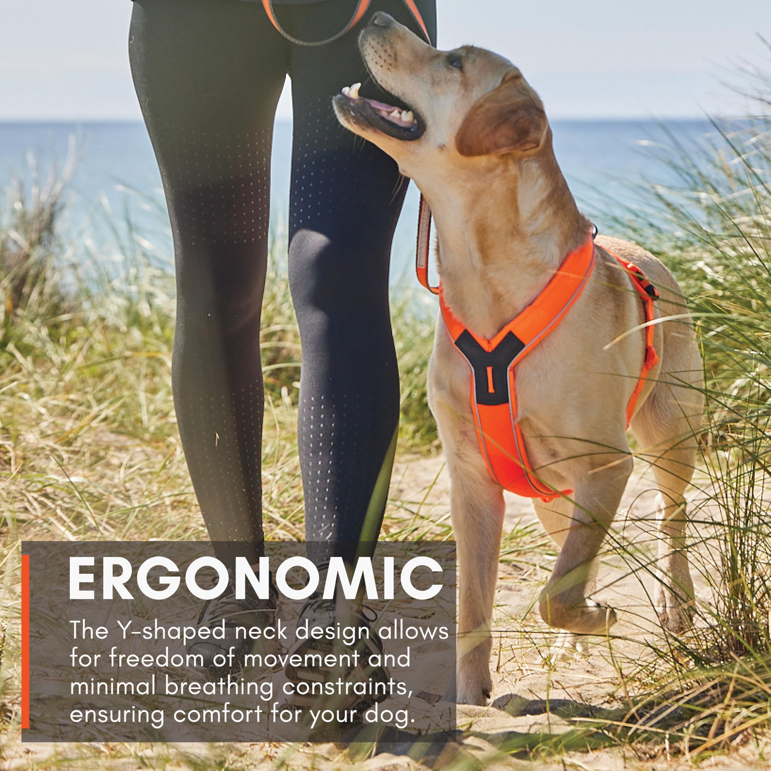 Non-Stop Dogwear Line Harness 5.0, Padded Dog Harness For Large Dogs, Made For Hiking, Sport And Everyday Active Life With 3 Lea