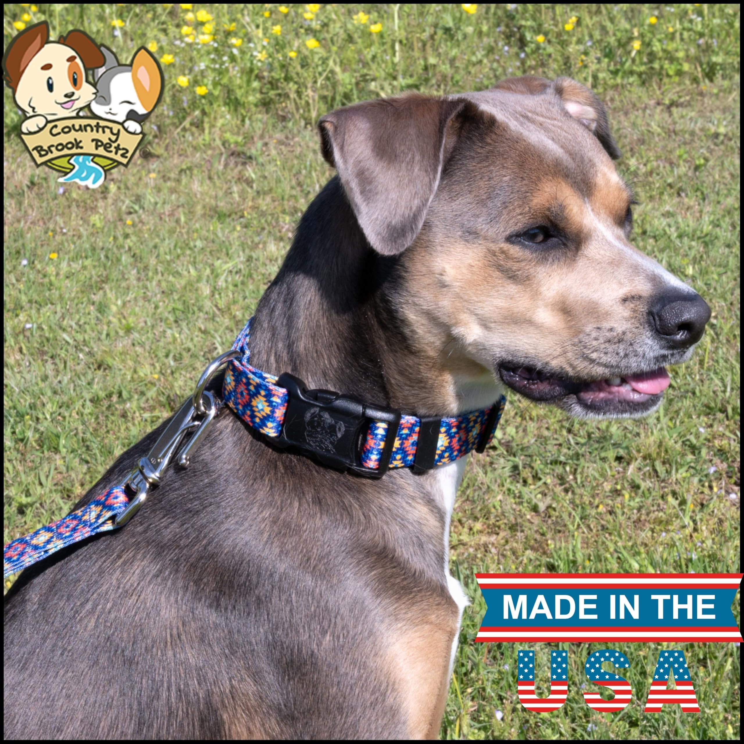 Country Brook Petz - Deluxe Utah Dog Collar - Made In The U.S.A. - Country And Western Collection Featuring Rustic Designs (5/8