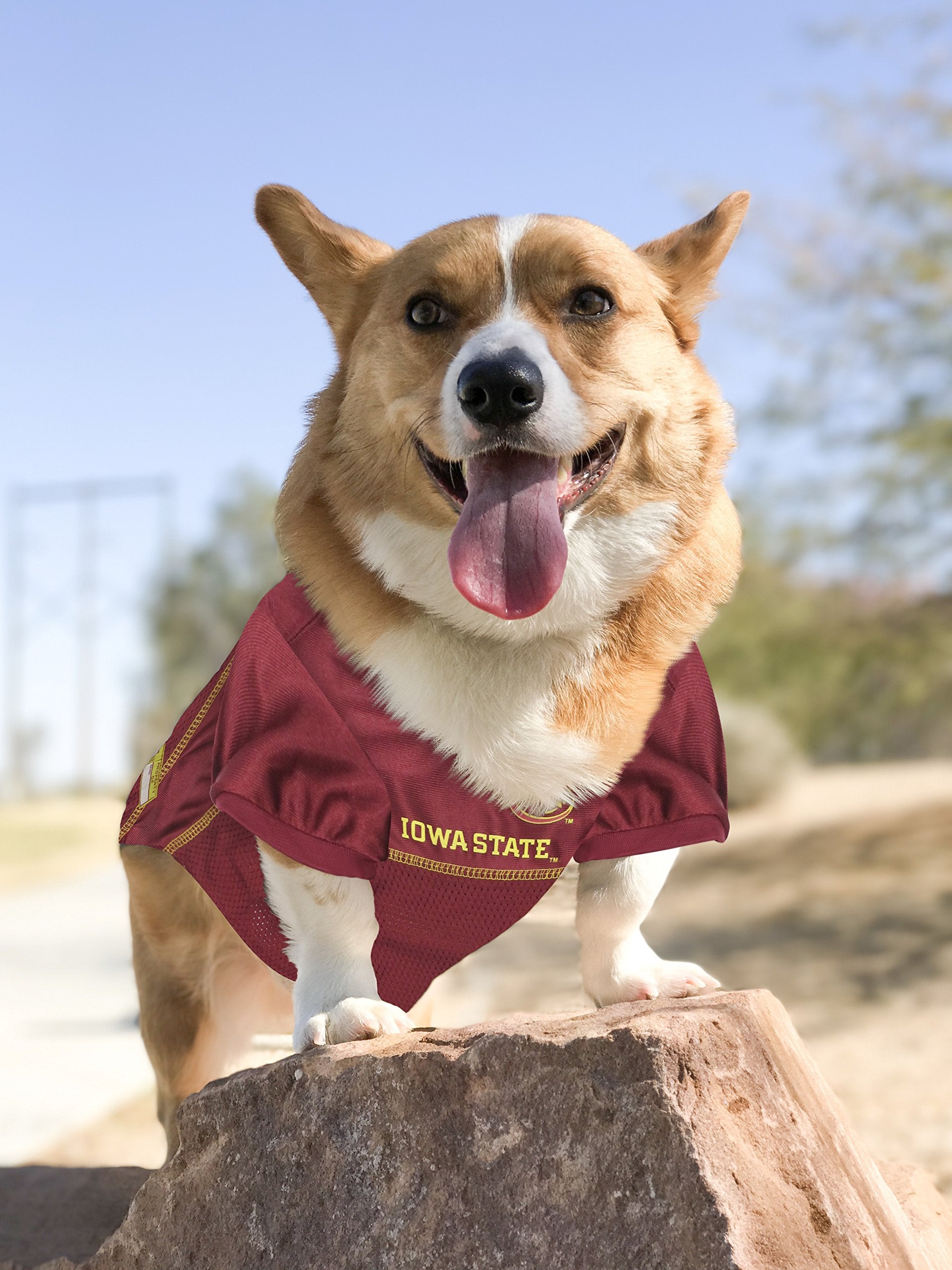Pets First NCAA College Iowa State Cyclones Mesh Jersey for DOGS & CATS, X-Small. Licensed Dog Jersey with your Favorite Footbal