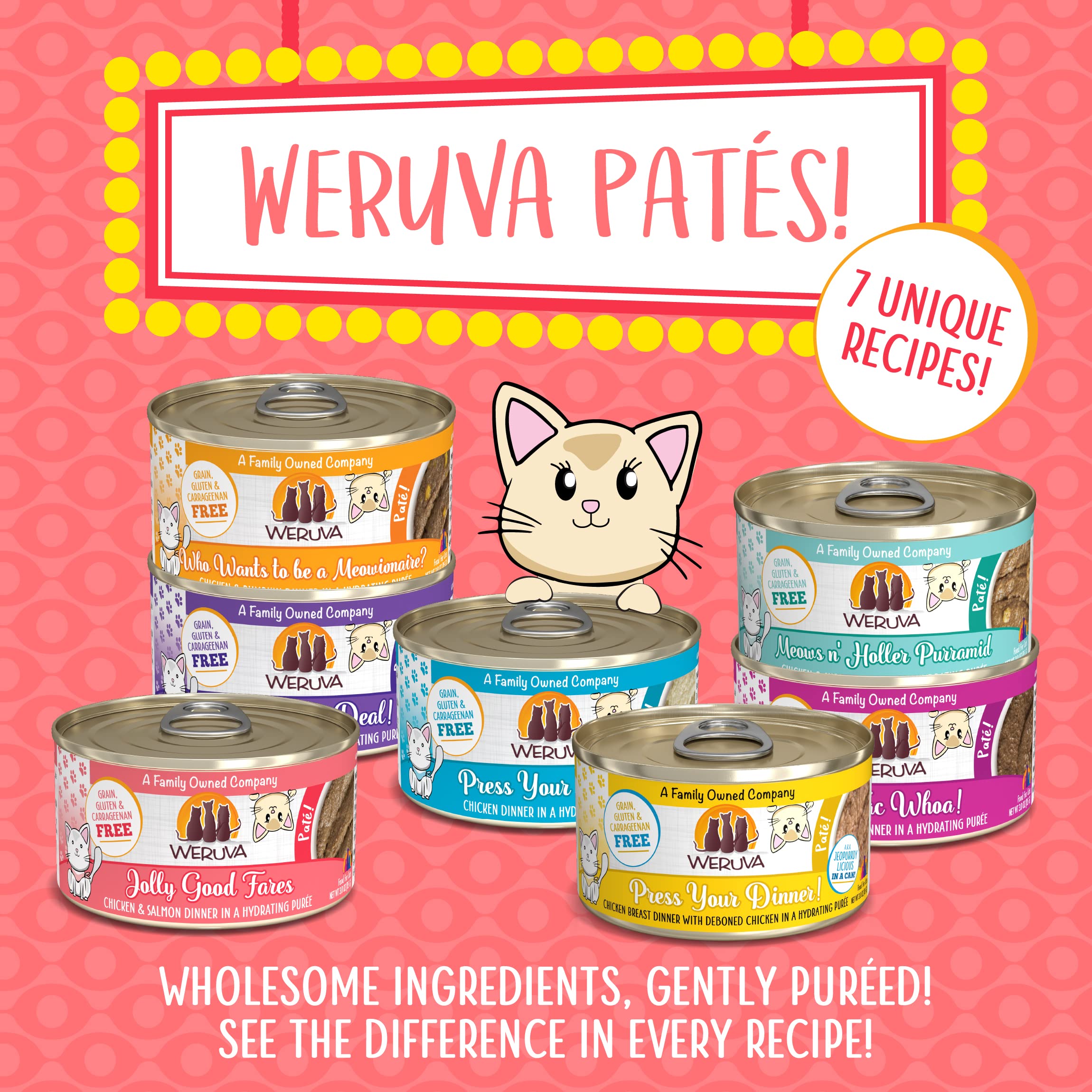 Weruva Wet Cat Food, Jolly Good Fares with Chicken and Salmon Pate, 3oz Can, Pack of 12