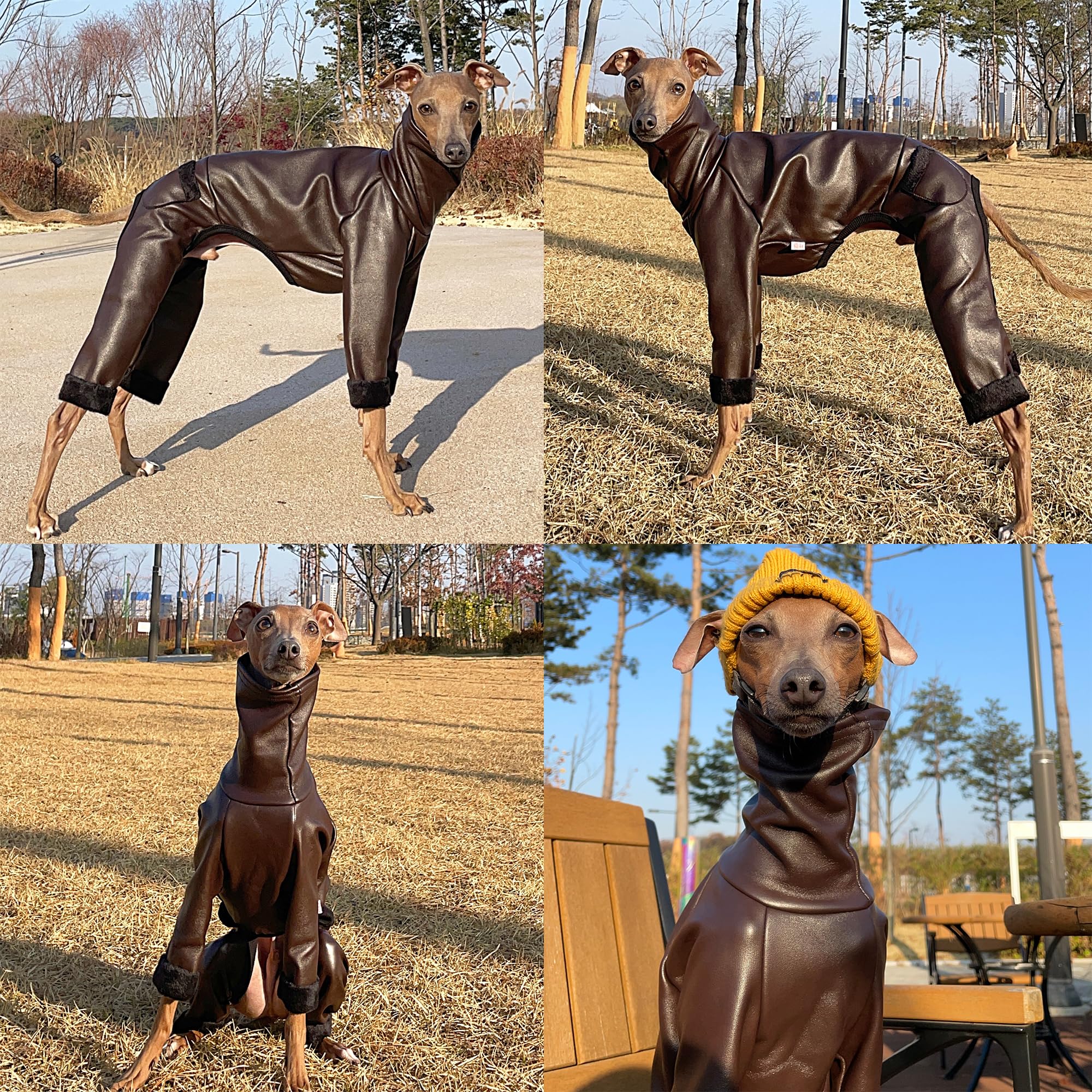 D Doggy Star Italian Greyhound Coat Stretchable Aartificial Leather Fleece Lining Clothes Whippet For Dog (M,Leather Brown)