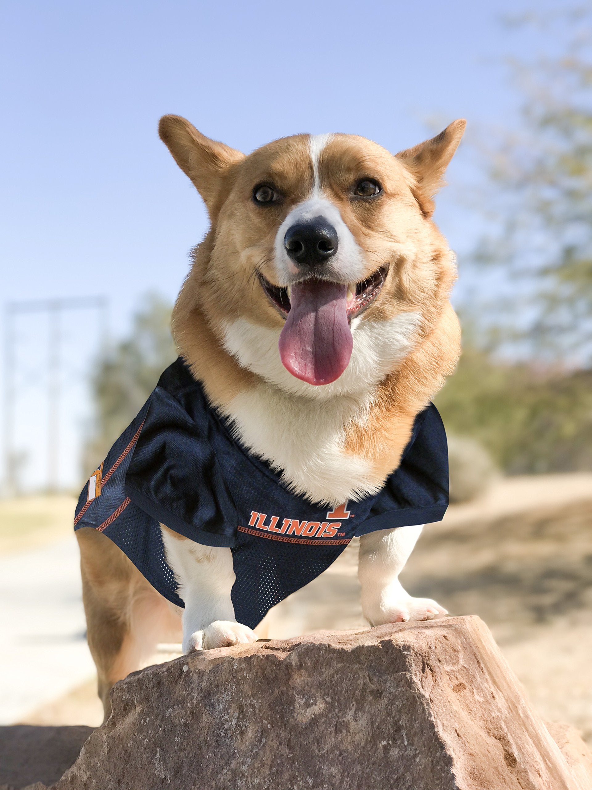Pets First NCAA College Illinois Fighting Illini Mesh Jersey for DOGS & CATS, Size Small, Licensed Dog Jersey with your Favorite