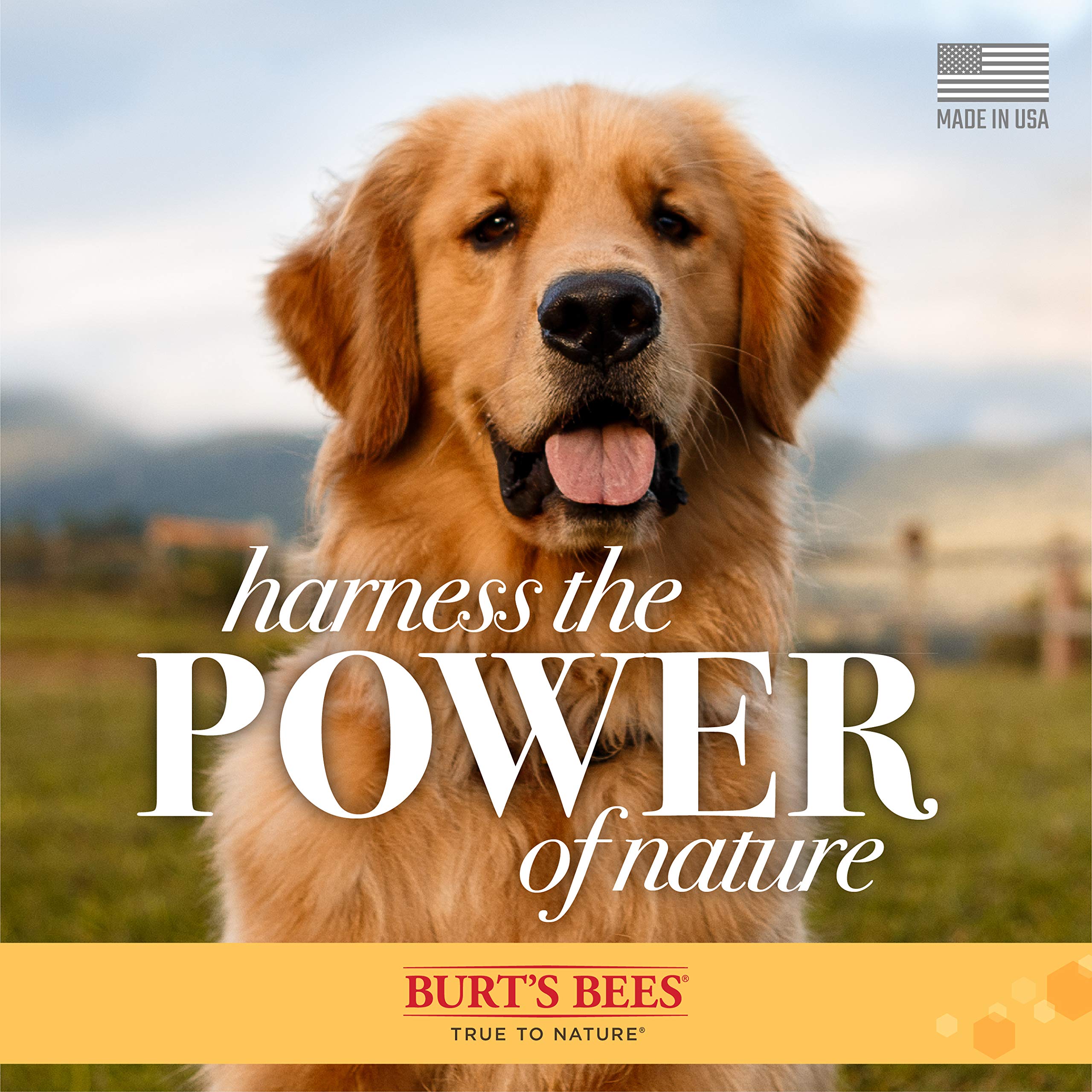 Burts Bees for Pets Hot Spot Spray with Apple Cider Vinegar and Aloe Vera, 6pk, 95% Natural Origin Formulas, Dog Spray for Itch