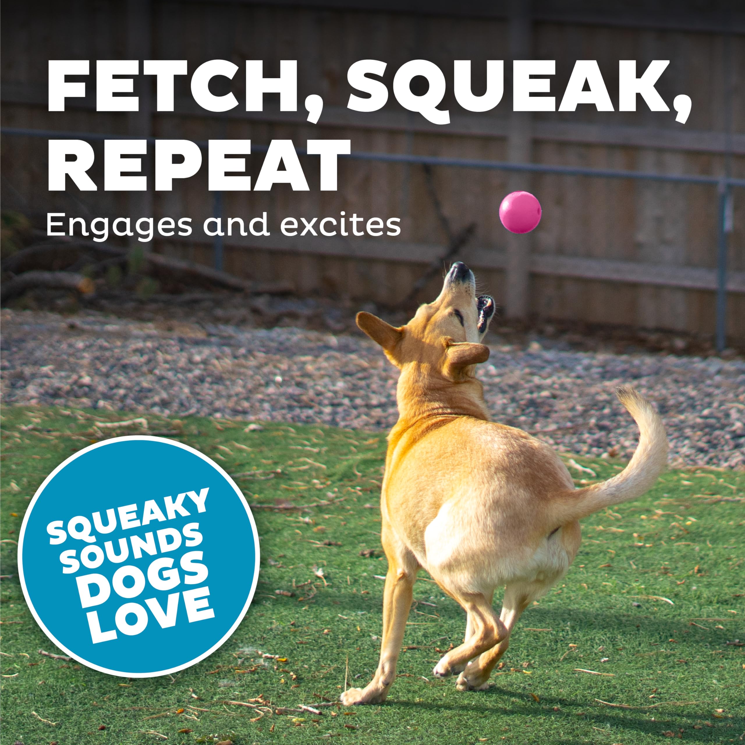 Outward Hound By Planet Dog Squeak Ball Bouncy Fetch Dog Toy, Pink