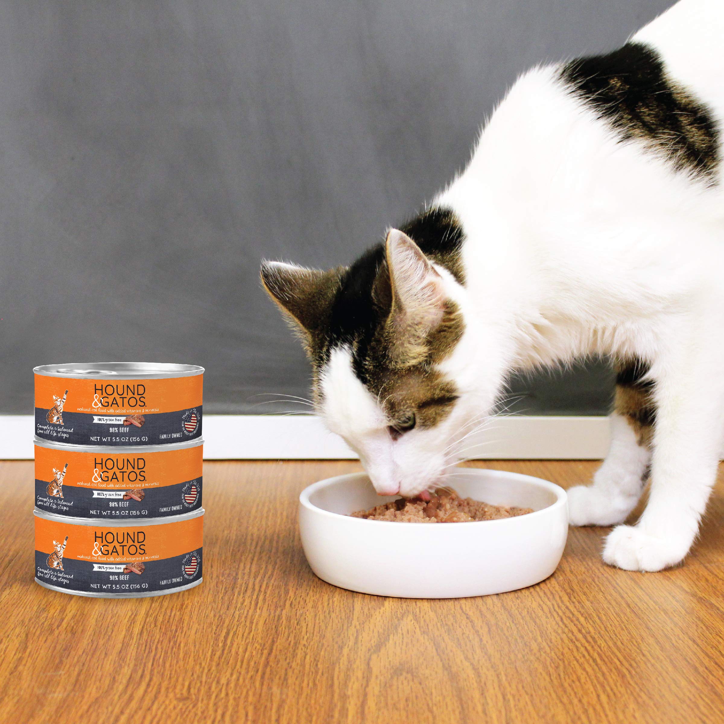 Hound & Gatos Wet Cat Food, 98% Beef, Grain Free Pate Cat Food, Real Meat, High Protein, Limited Ingredients, No Additives, 5.5