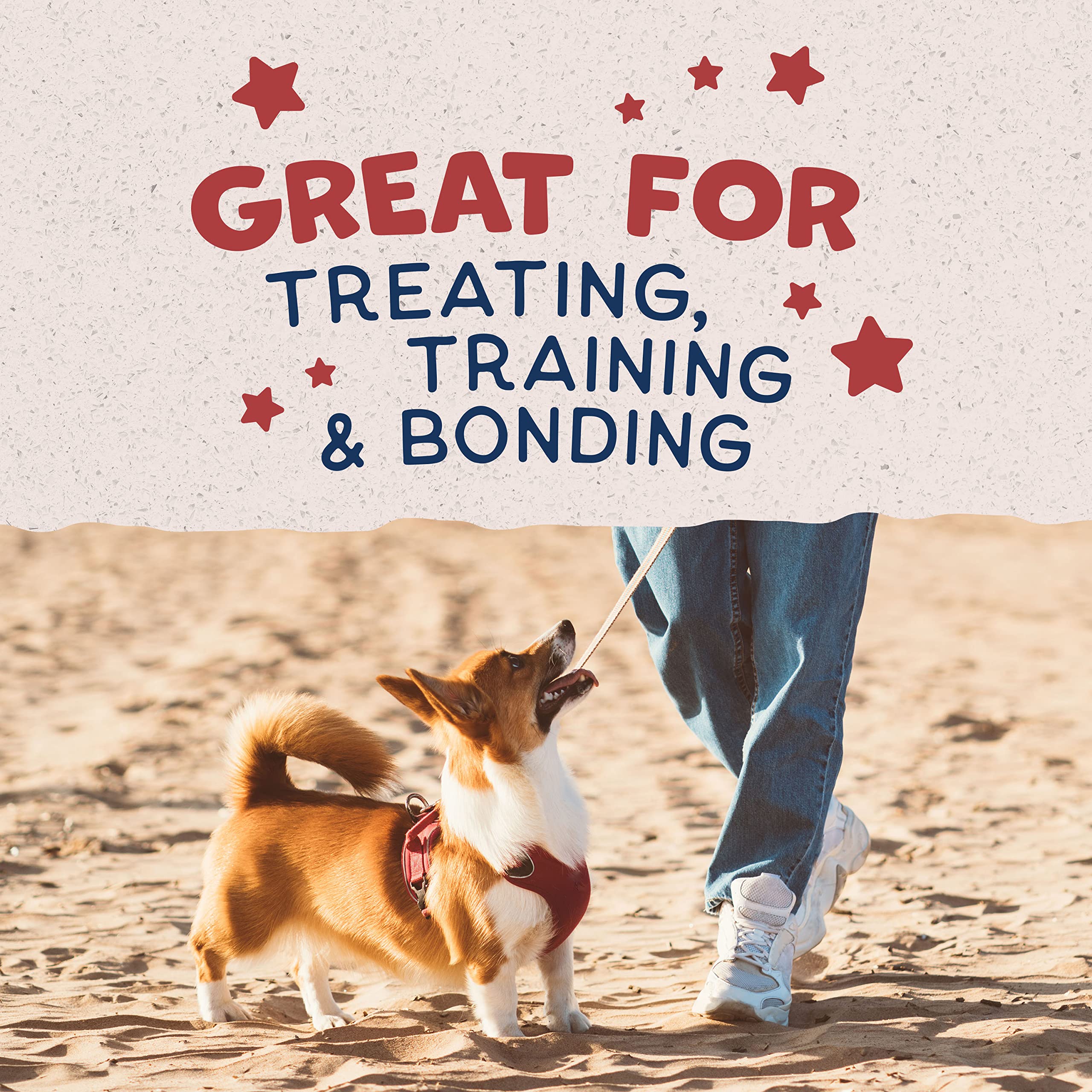 Natural Balance Limited Ingredient Rewards Crunchy Biscuits, Bite-Size Grain-Free Dog Treats for Small-Breed Adult Dogs, Made wi