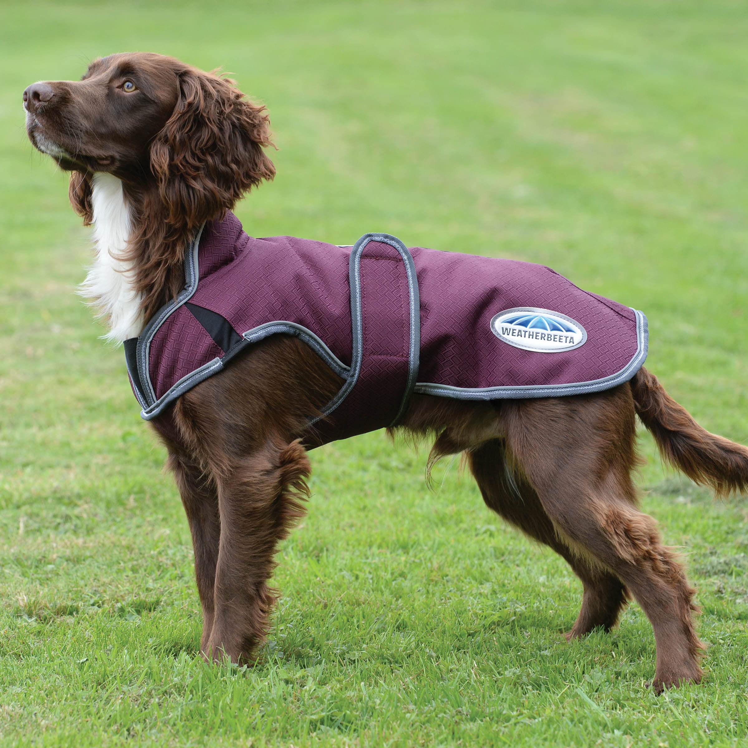 Weatherbeeta Comfitec Premier Free Parka Deluxe Dog Coat Medium, Maroon/Grey/White, 26''
