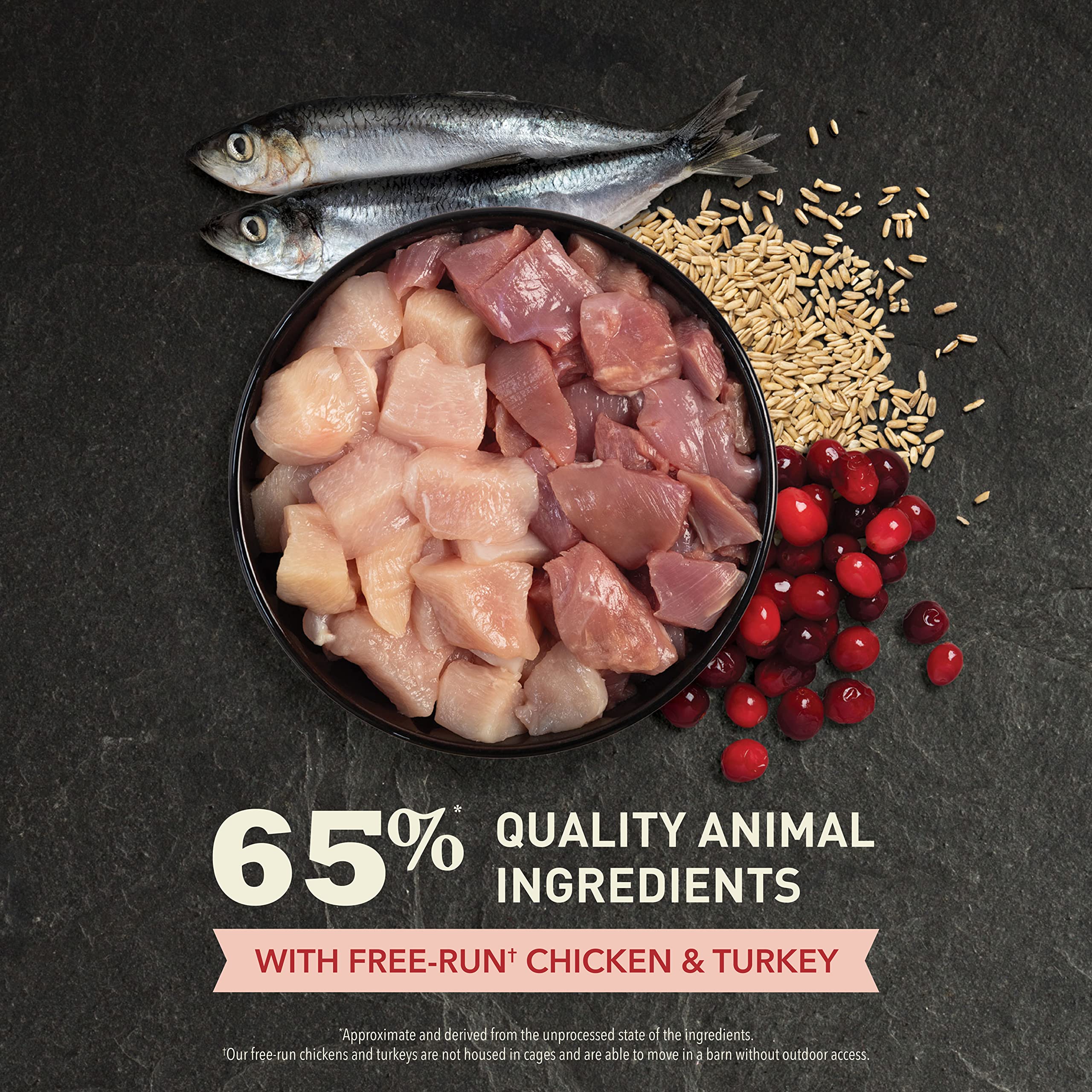 ACANA Indoor Entree Dry Cat Food, Free Run Chicken and Turkey Recipe, 4 lb