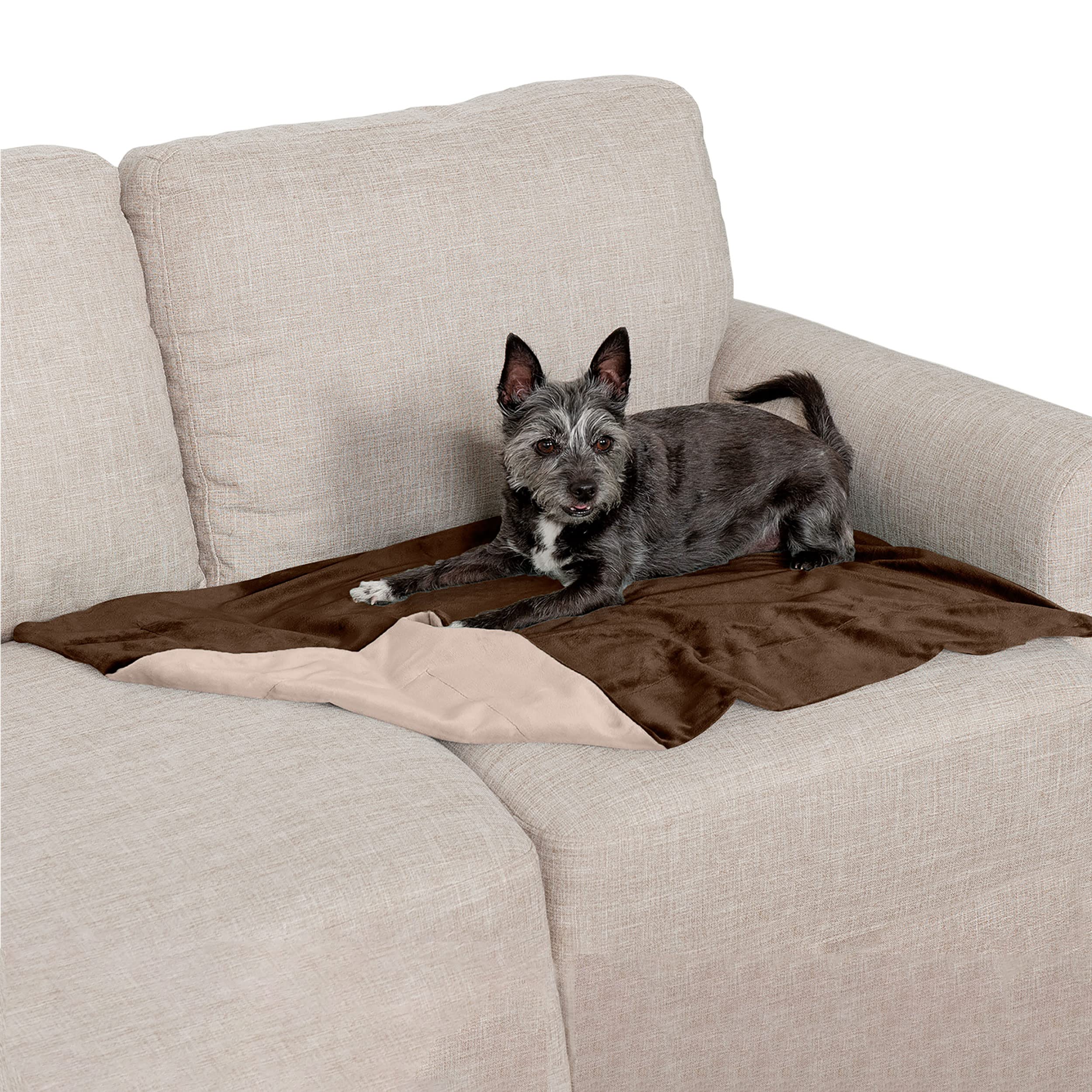 Furhaven Waterproof Throw Blanket For Dogs & Indoor Cats, Washable - Two-Tone Luxe Velvet Dog Blanket - Brownstone, Small