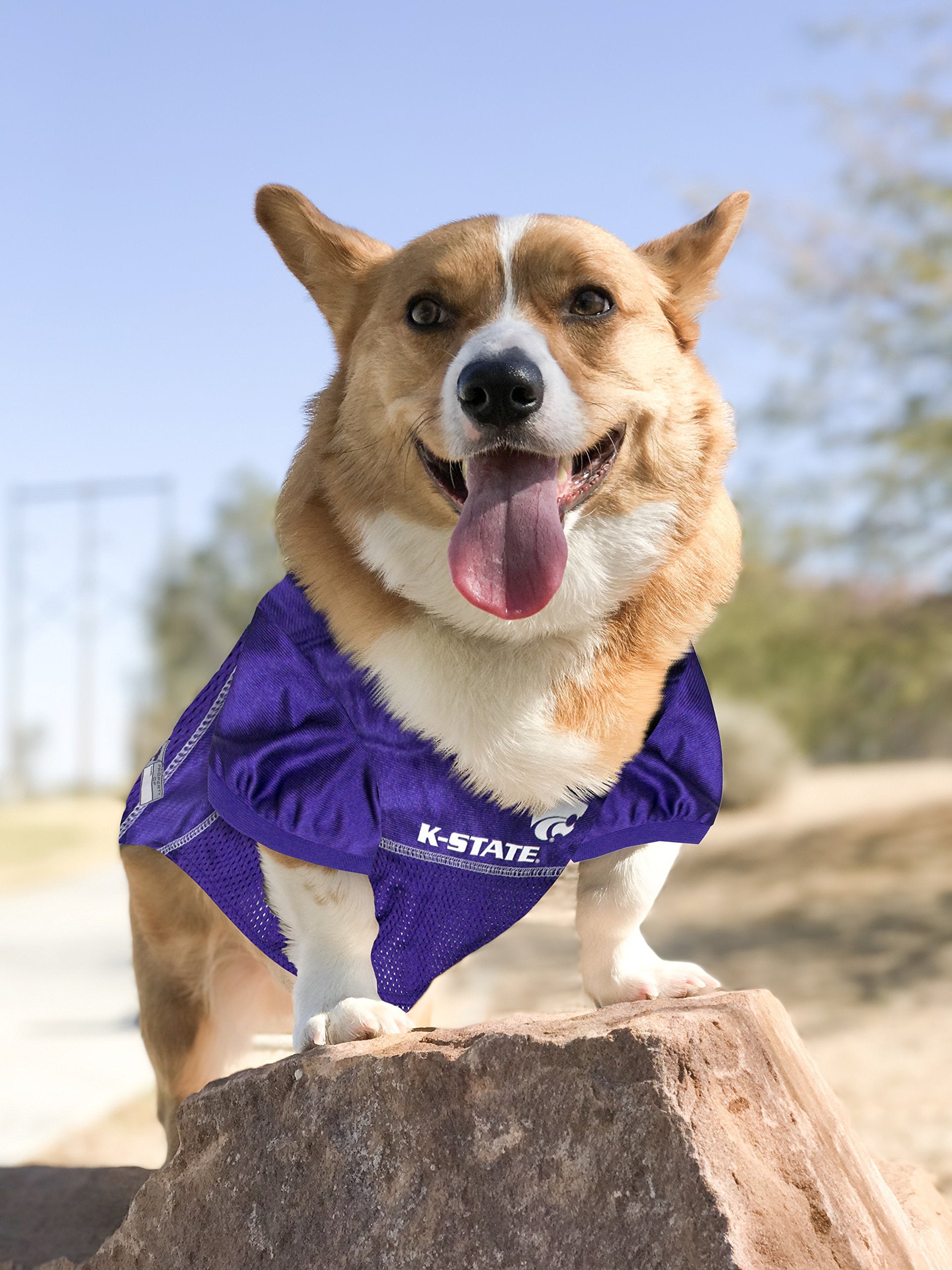 Pets First NCAA College Kansas State Wildcats Mesh Jersey for DOGS & CATS, Size Small, Licensed Dog Jersey with your Favorite Fo