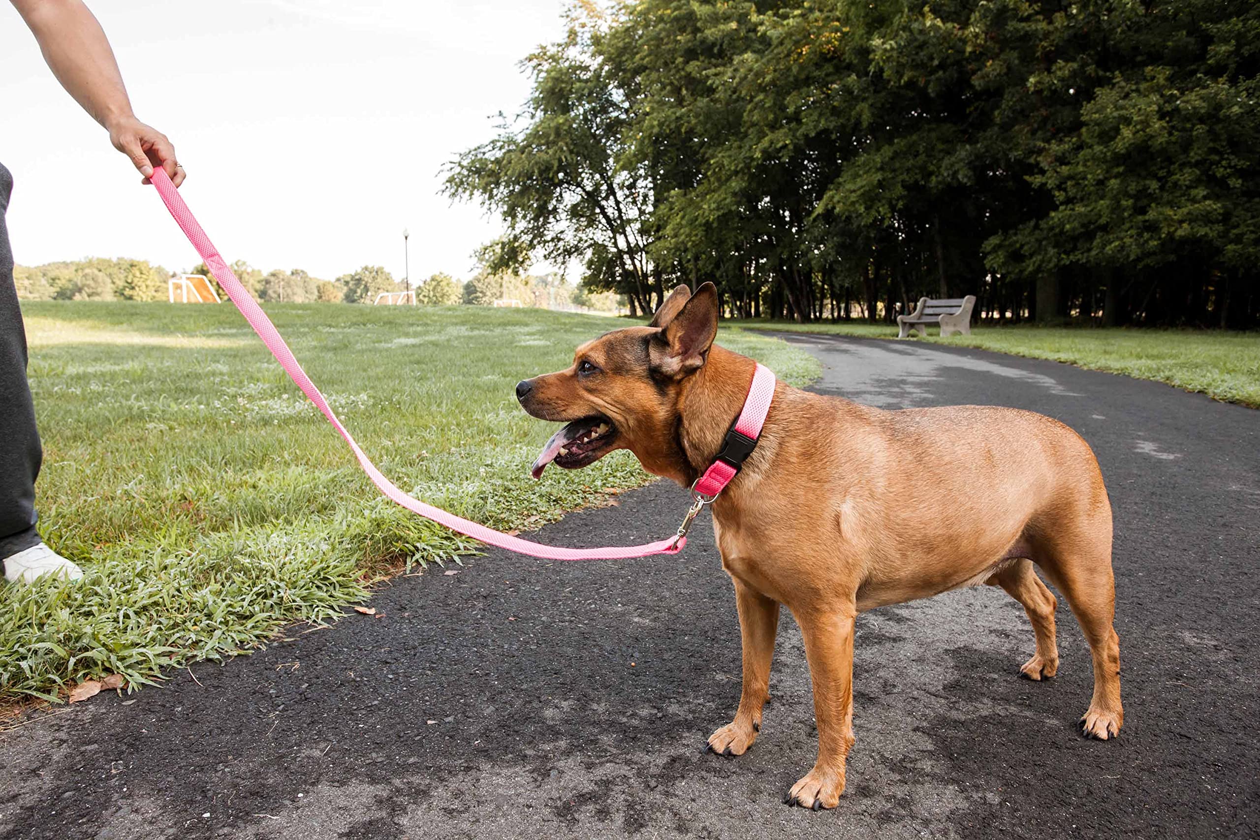 Pet Life ® 'Aero Mesh' 360 Degree Dual Sided Comfortable And Breathable Adjustable Fashion Mesh Dog Collar And Dog Leash For Small Medium And Large Dogs