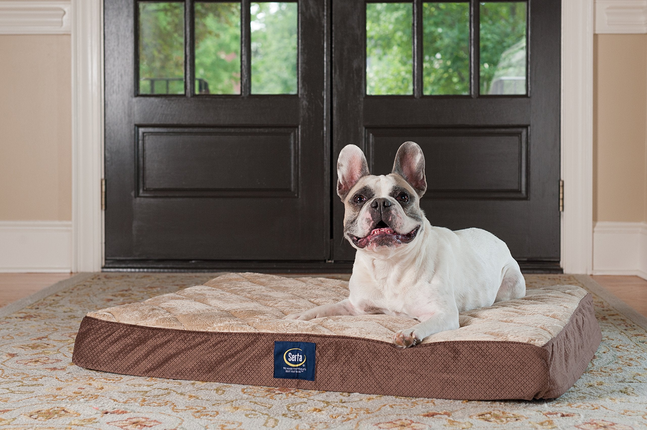 Serta Ortho Quilted Pillowtop Pet Bed, Large, Mocha