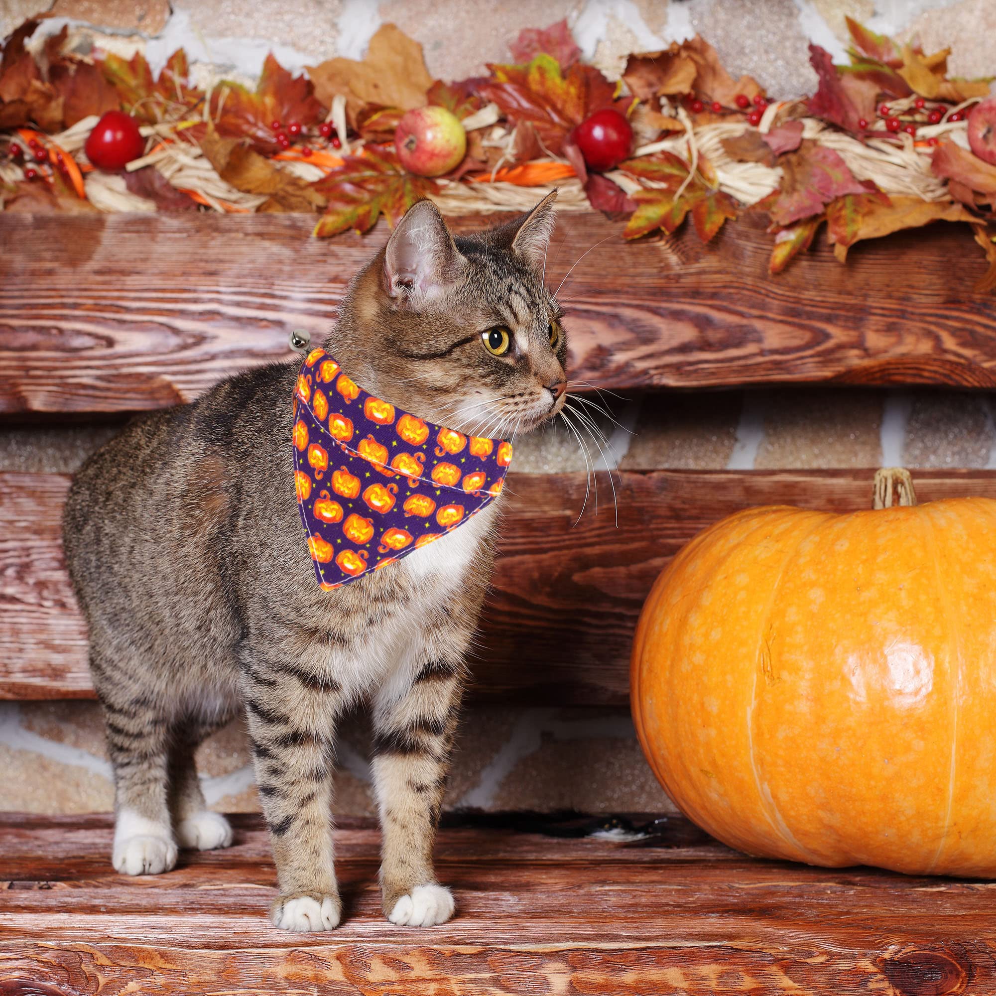Adoggygo Halloween Cat Collar Breakaway With Removable Bowtie Bandana - 2 Pack Halloween Cat Bandana Collar Pumpkin Cat Kitten Collars Cat Halloween Bowtie Bandana Collar For Cat Kitten (Halloween)